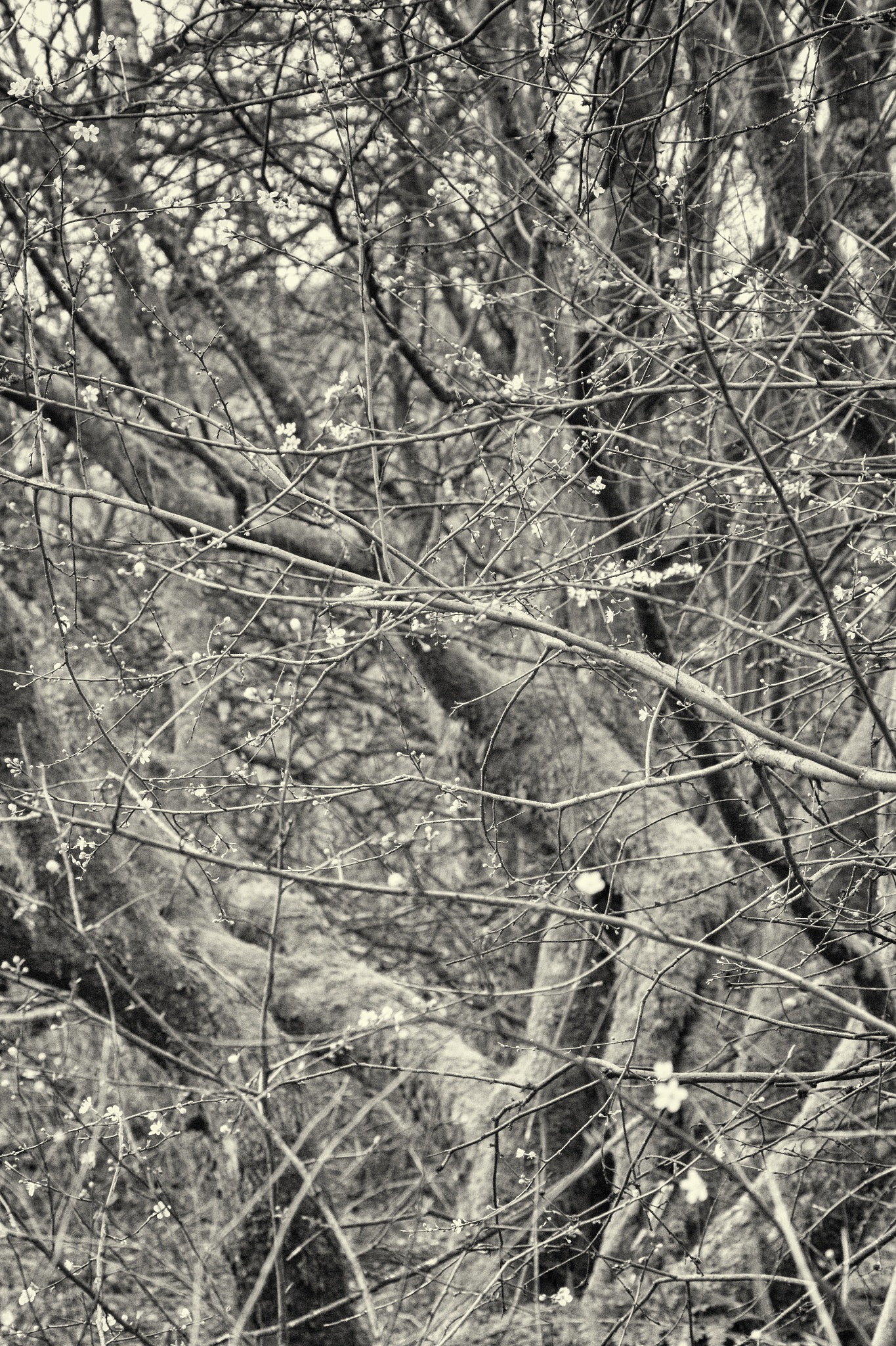 Canon EF 70-300mm F4-5.6L IS USM sample photo. A40a3493-edit.jpg photography