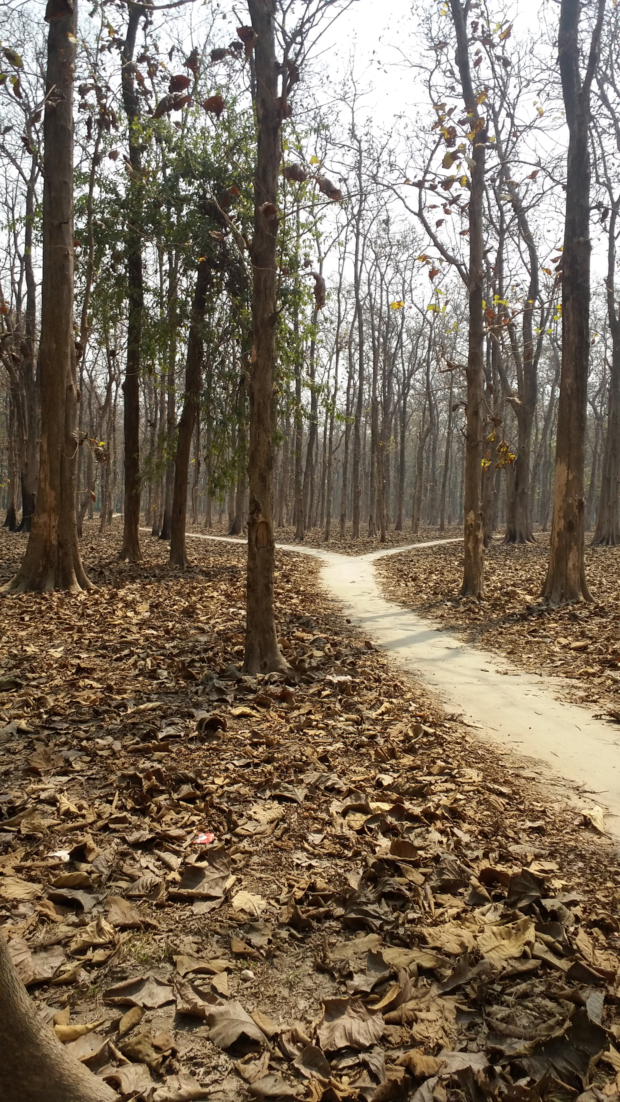 Samsung Galaxy E7 sample photo