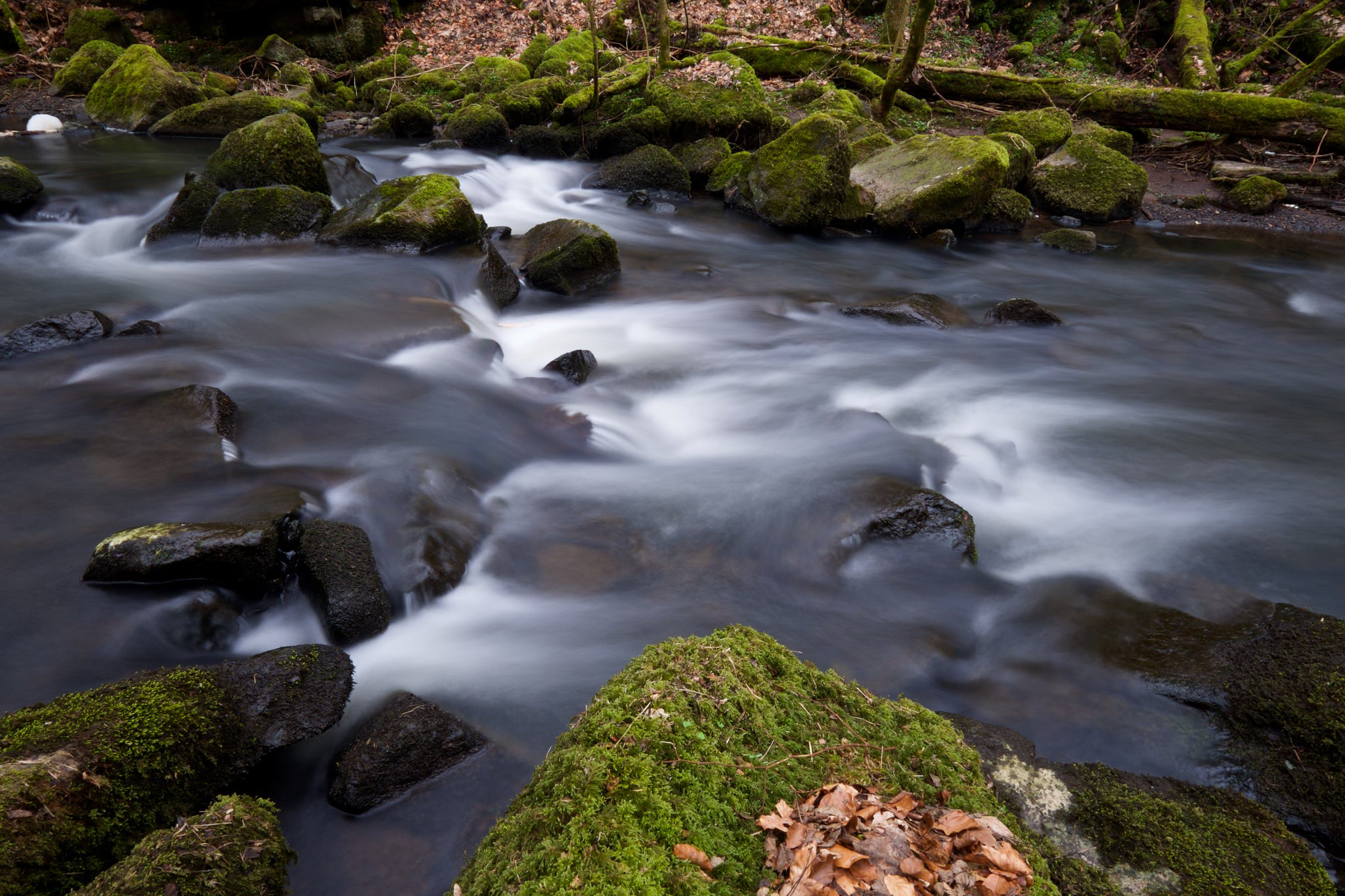 Fujifilm X-E2 + Fujifilm XF 10-24mm F4 R OIS sample photo. Holzbachtal photography