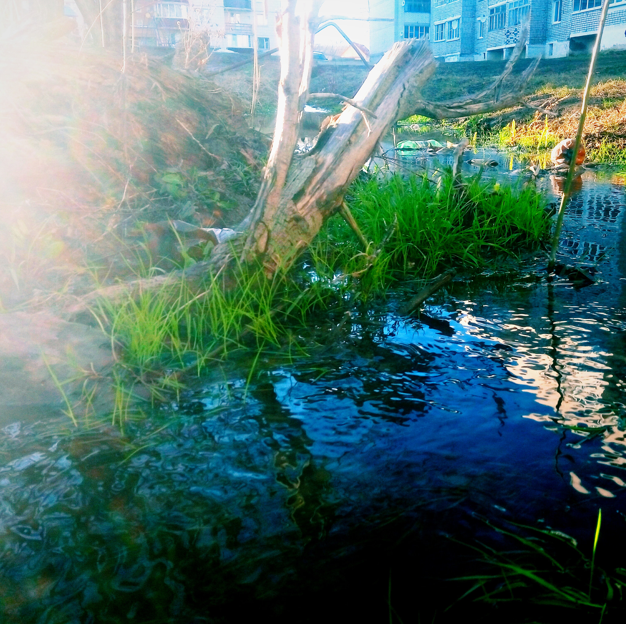 Meizu m2 sample photo