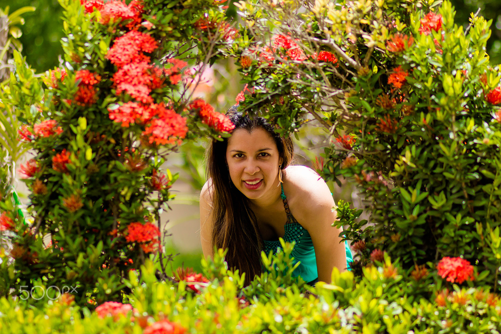 Canon EOS 70D + Canon EF 85mm F1.8 USM sample photo. Garden fun photography