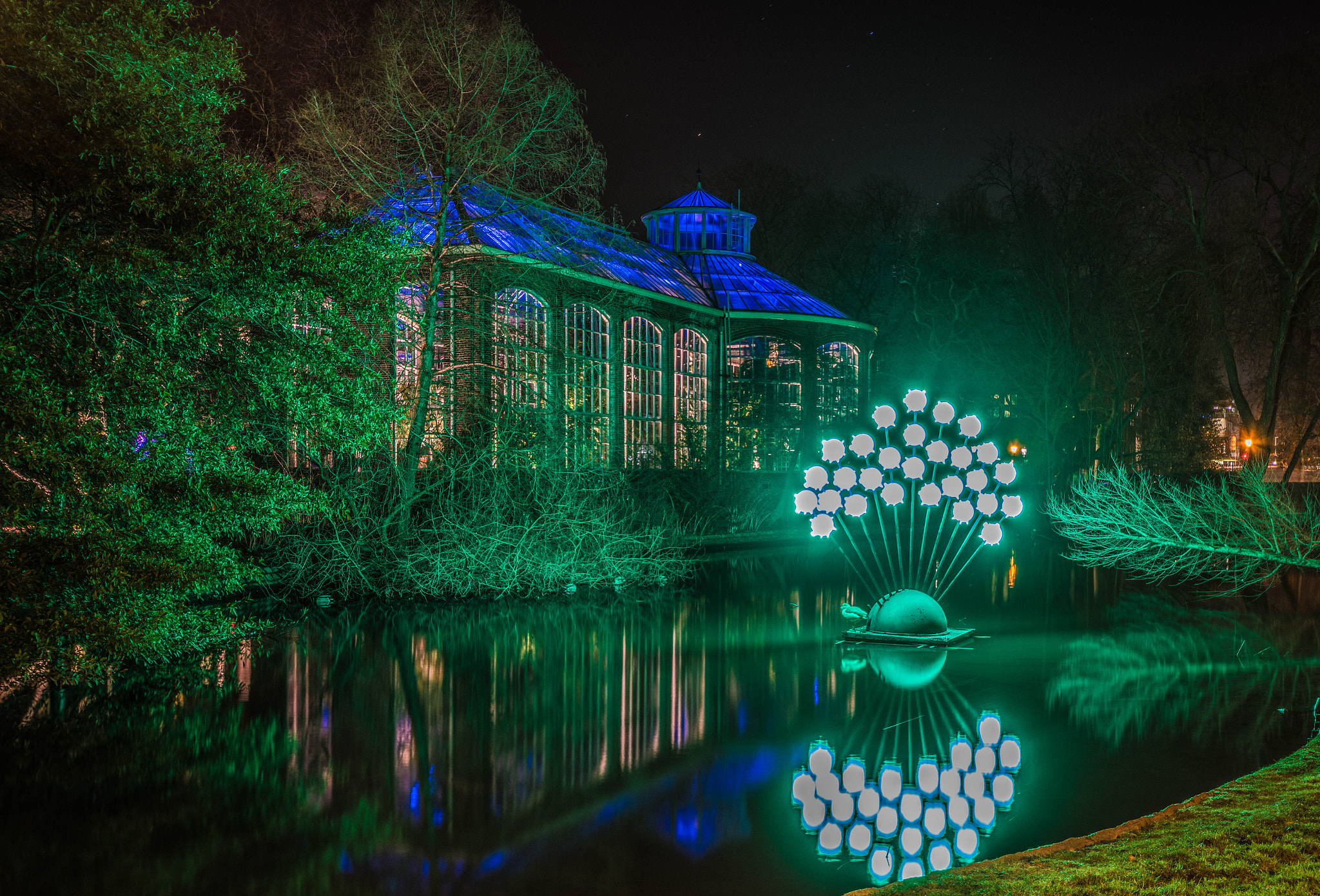 Nikon D500 sample photo. Hortus botanicus covered in green photography
