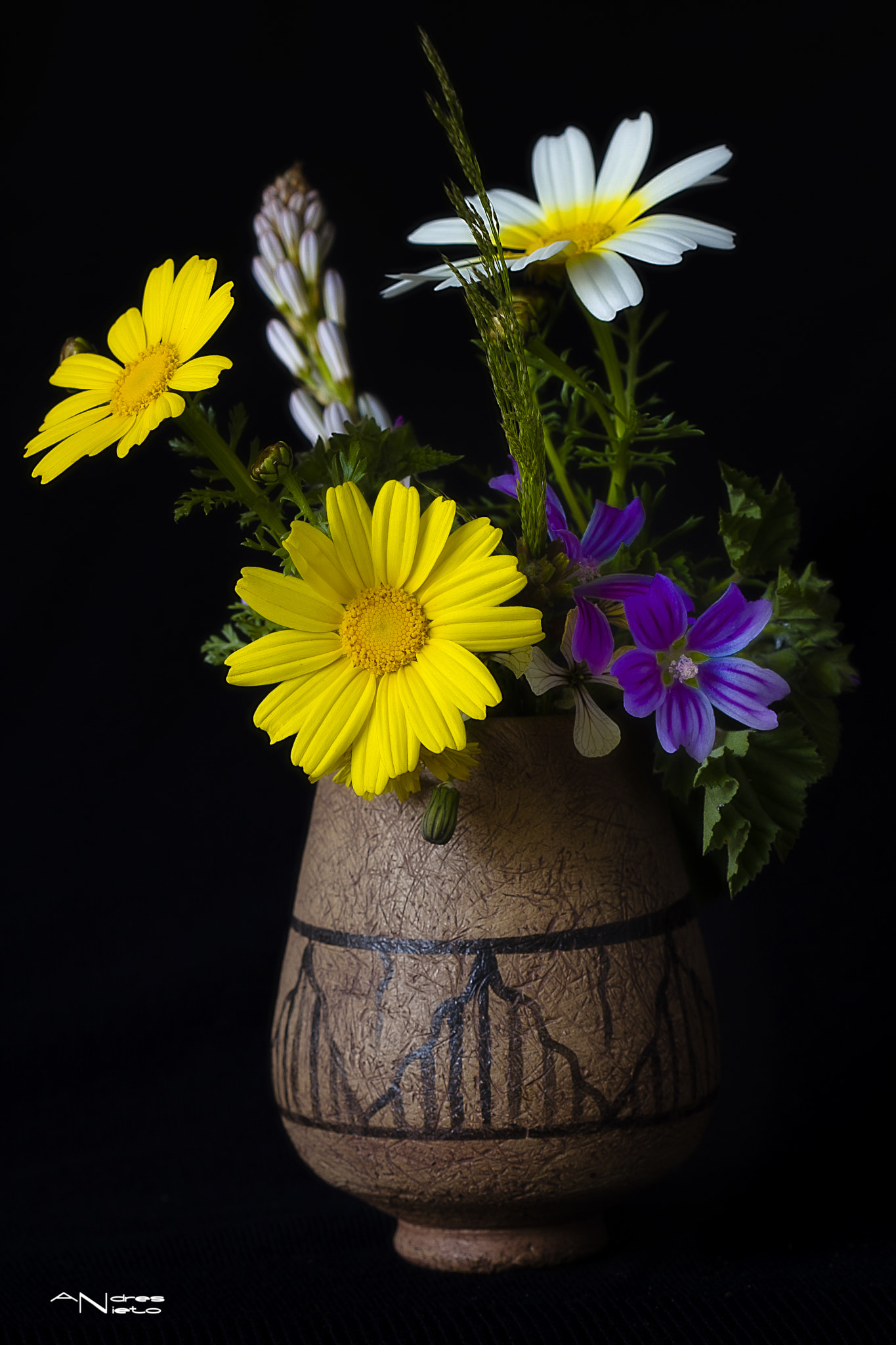 Canon EF 100mm F2.8 Macro USM sample photo. "bodegon primavera" photography