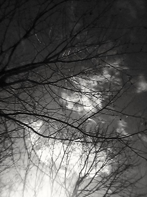 Samsung Galaxy Core sample photo. Early grey photography