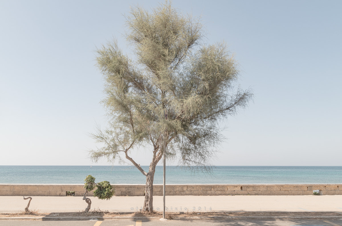 Sigma AF 10-20mm F4-5.6 EX DC sample photo. Salento, 2016 photography