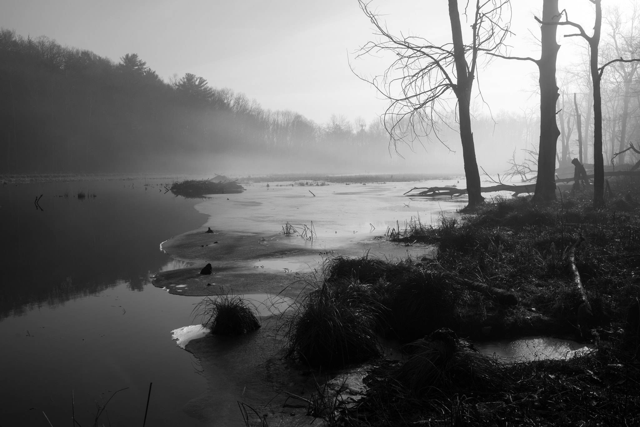 Pentax K-1 sample photo. Foggy morning at bennett's pond photography
