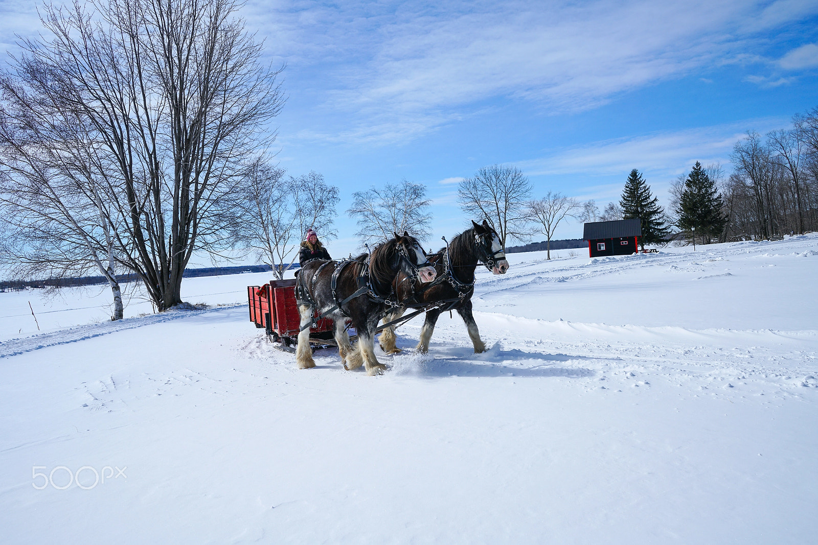 Sony FE 28-70mm F3.5-5.6 OSS sample photo. Doing winter right (chateau montebello) photography