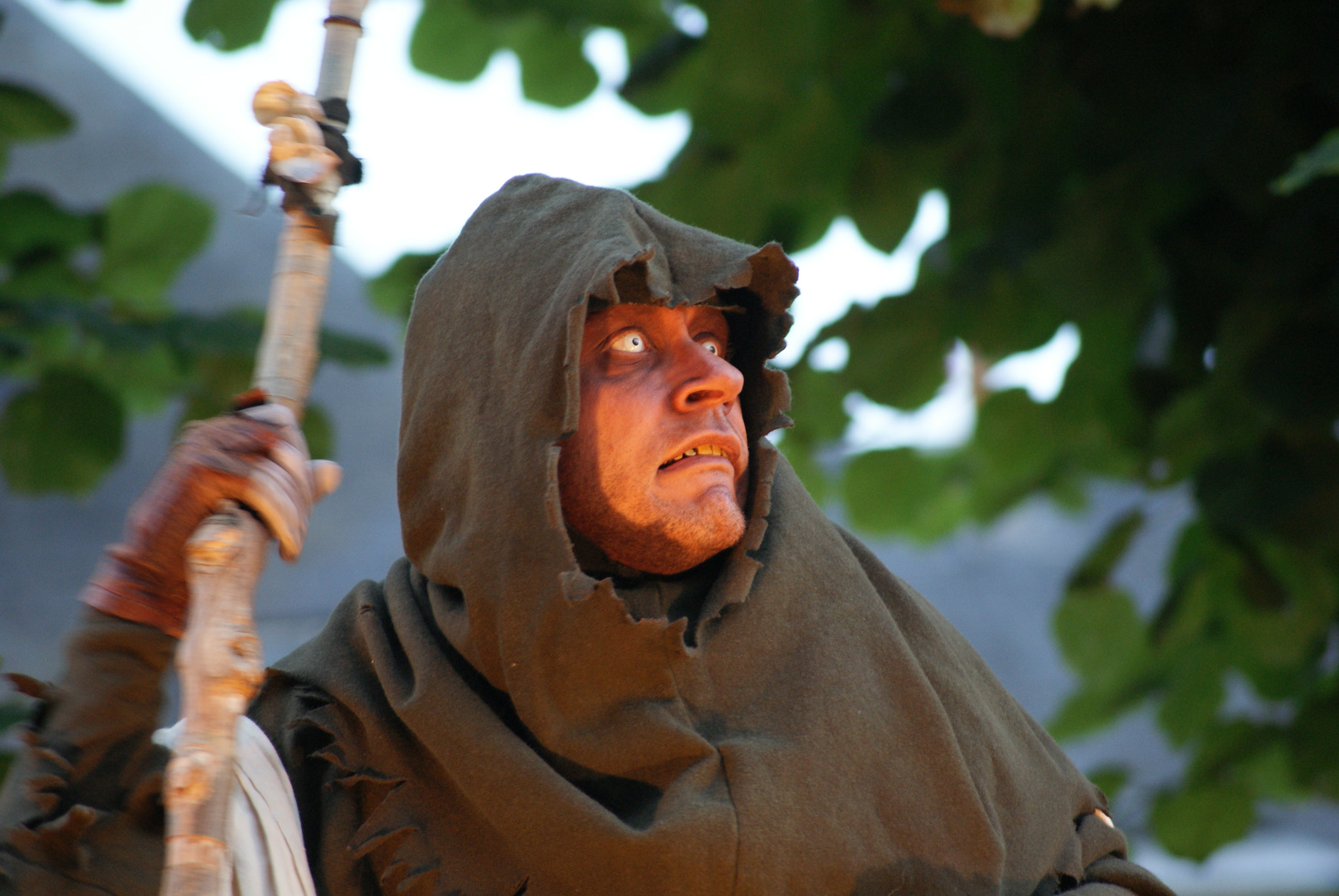 Sony Alpha DSLR-A300 + Sony DT 55-200mm F4-5.6 SAM sample photo. Stanislas the fool photography