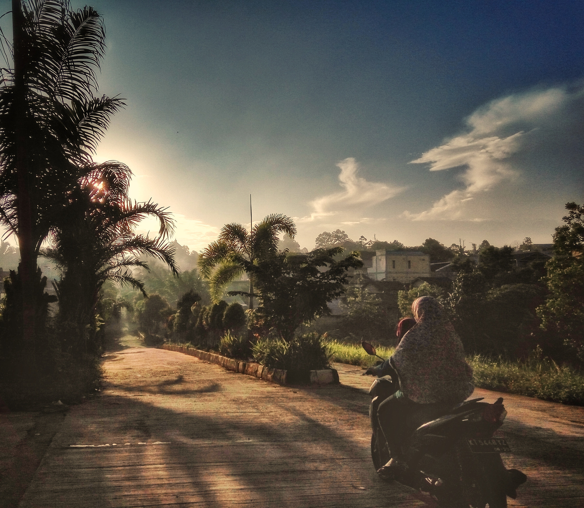 Xiaomi HM Note 2 sample photo. Good morning  photography