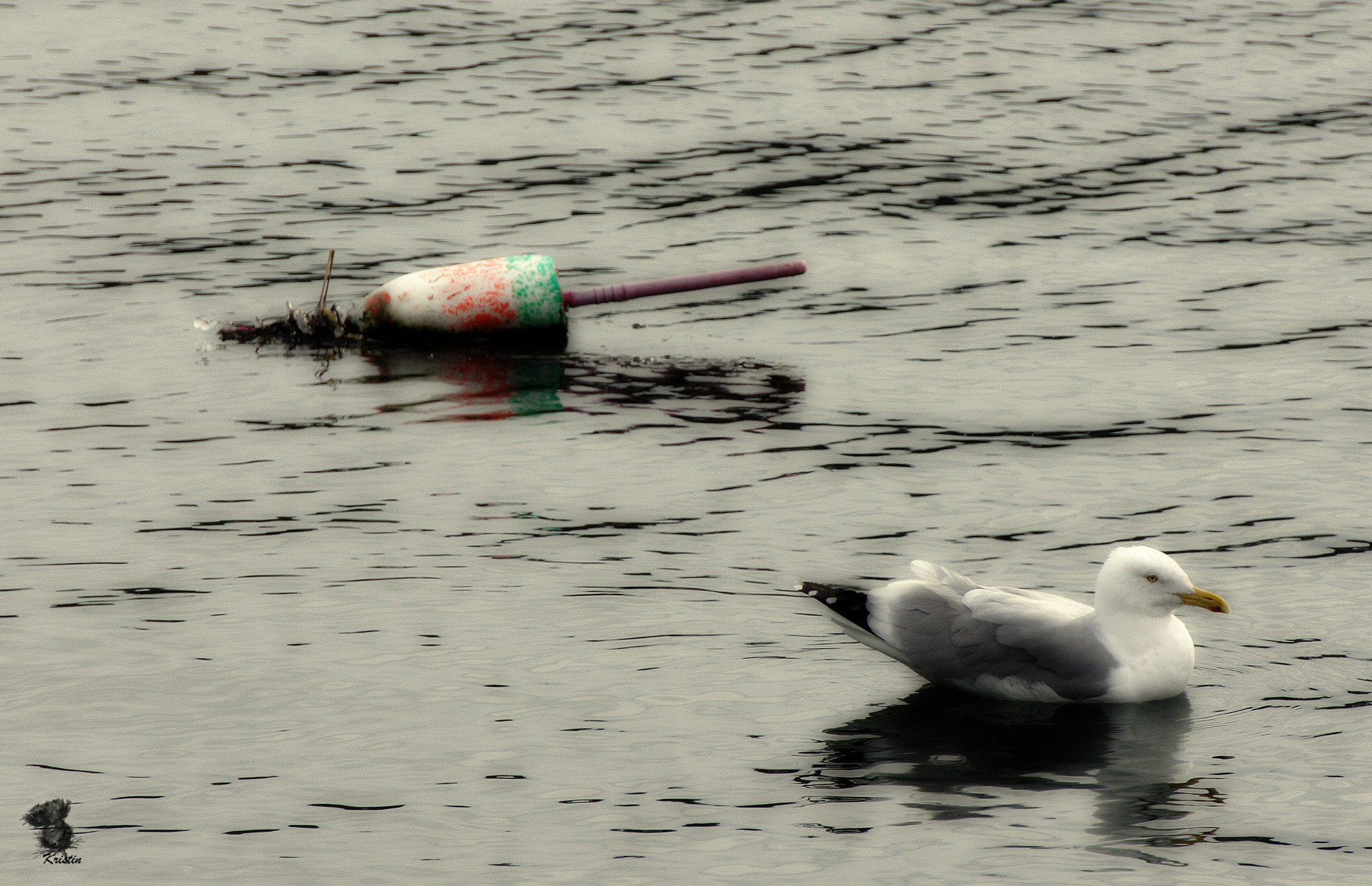 Sony E 55-210mm F4.5-6.3 OSS sample photo. Floating photography