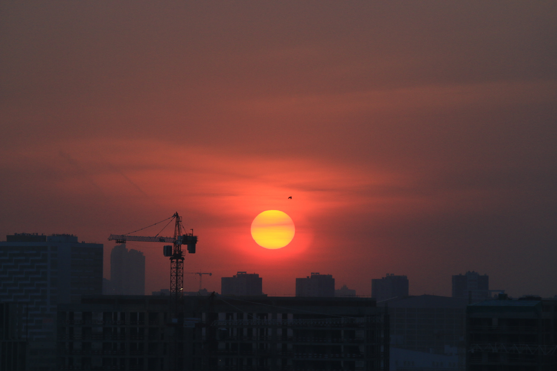 Canon EOS 70D + Canon EF 70-200mm F2.8L IS II USM sample photo. Industrial sunset photography