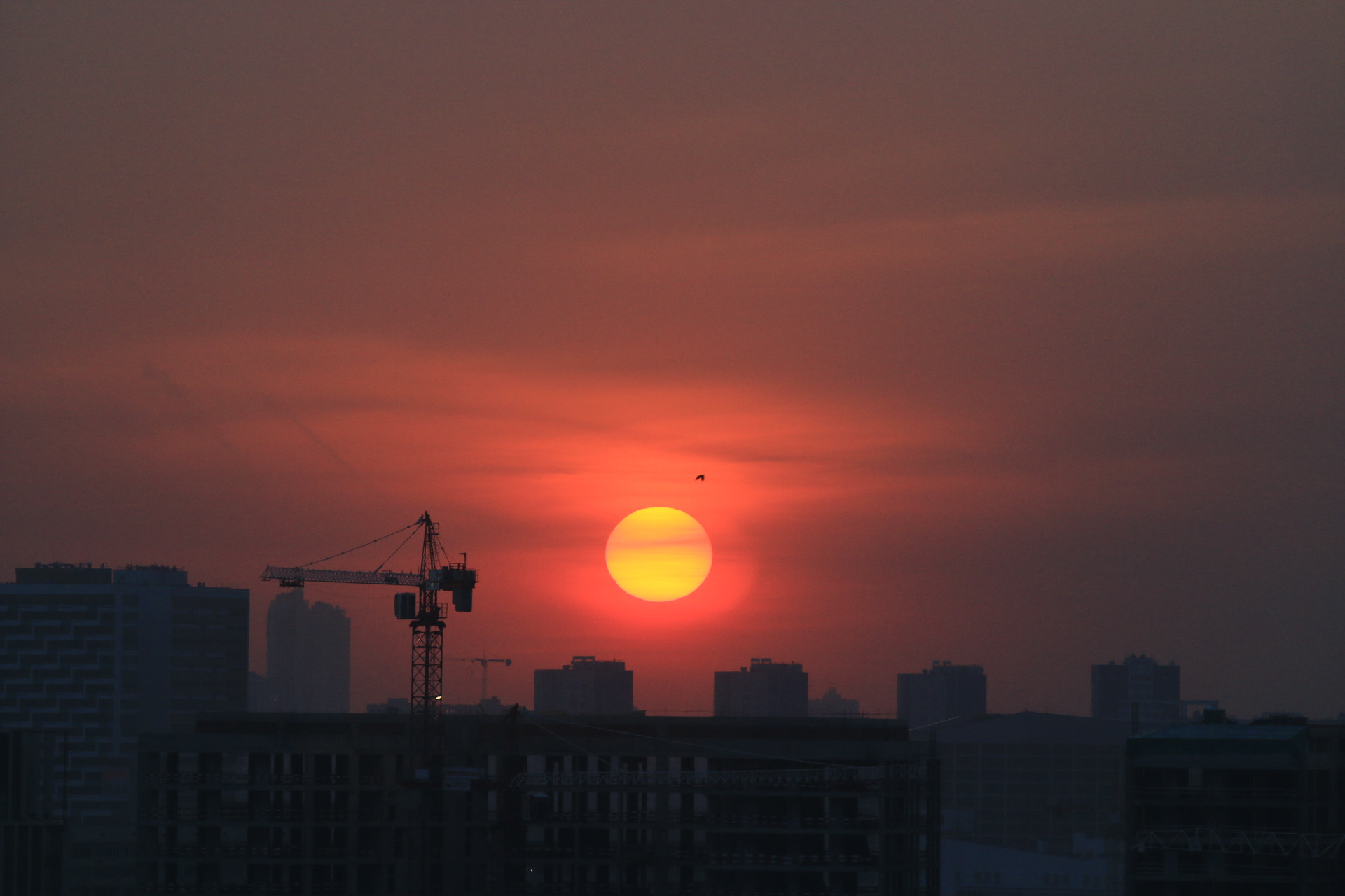 Canon EF 70-200mm F2.8L IS II USM sample photo. Industrial sunset photography