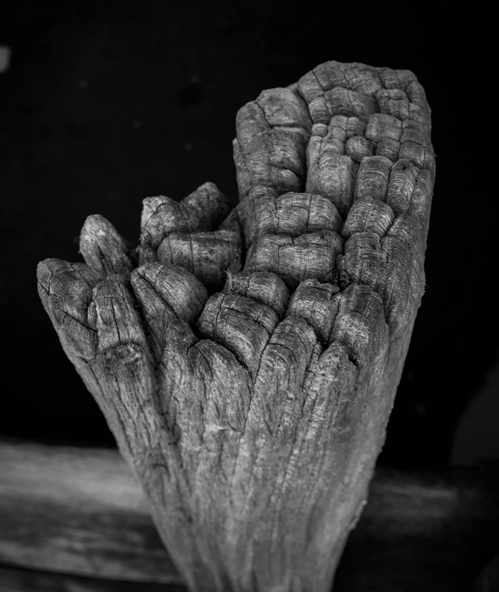 Canon EOS 60D sample photo. Old wood photography