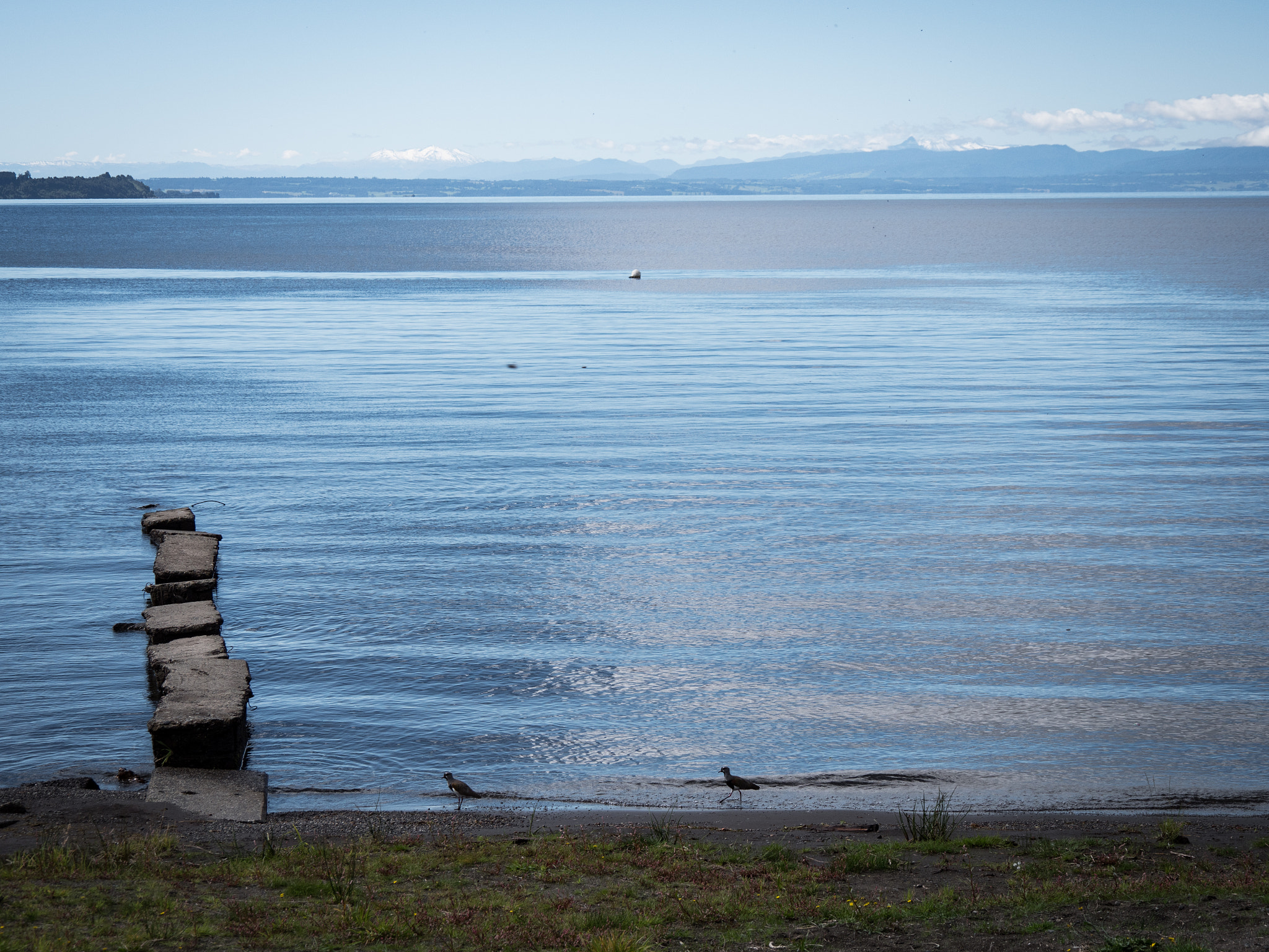 Panasonic Lumix DMC-GX8 sample photo. Reflections photography