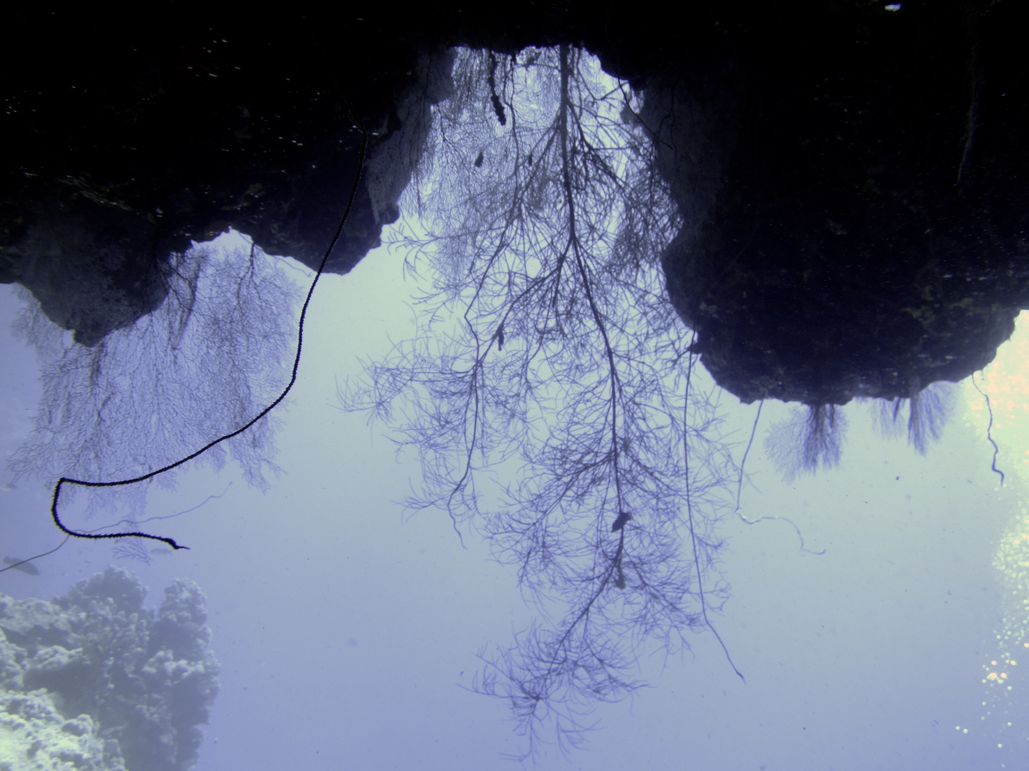 Sony 28-100mm F1.8-4.9 sample photo. Cave exploration photography