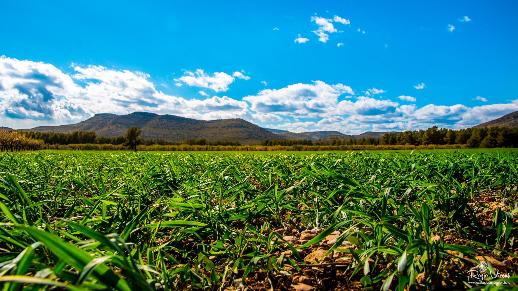 Nikon D7200 sample photo. Beautiful day photography