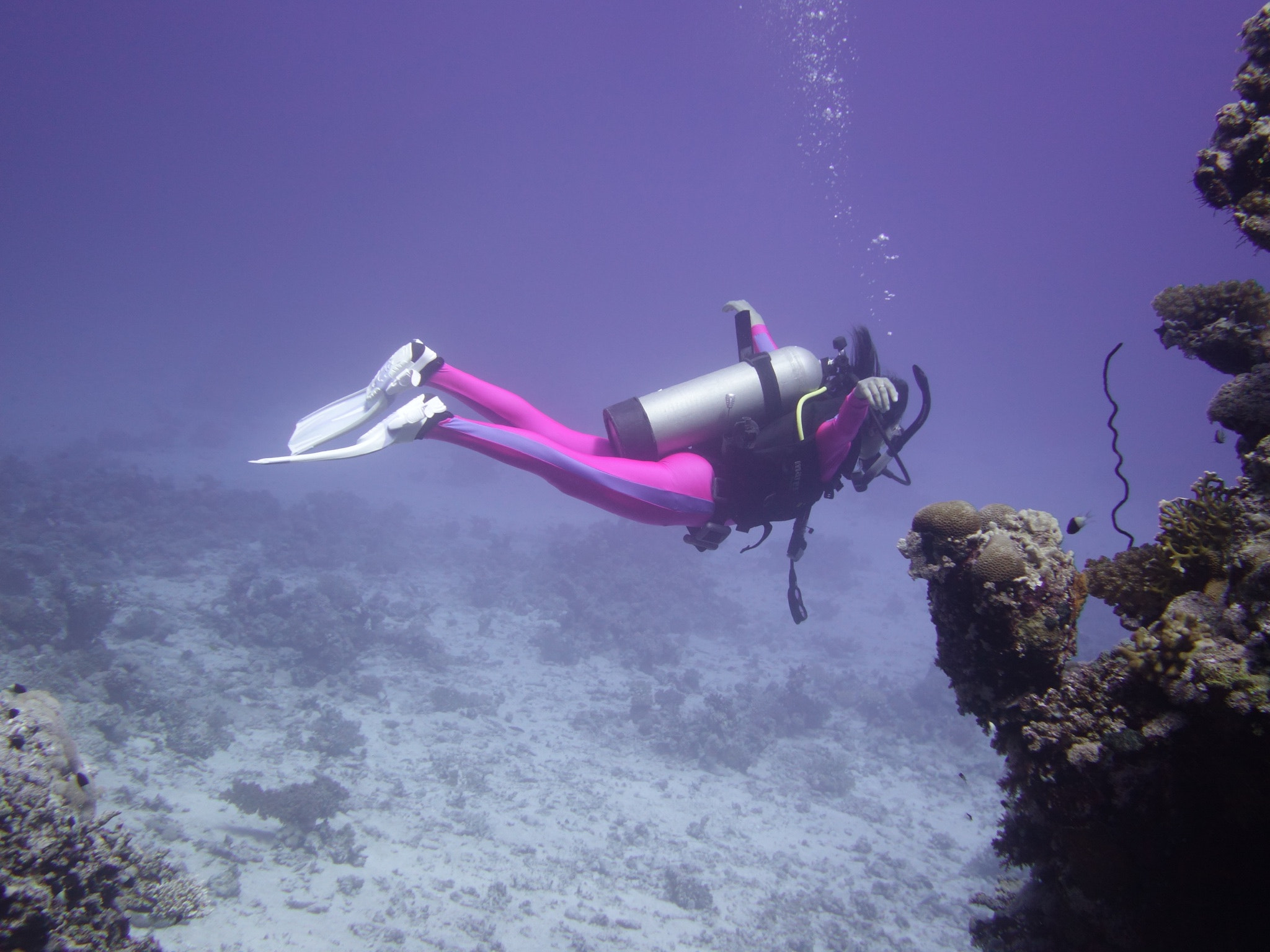 Sony 28-100mm F1.8-4.9 sample photo. Flying under water photography