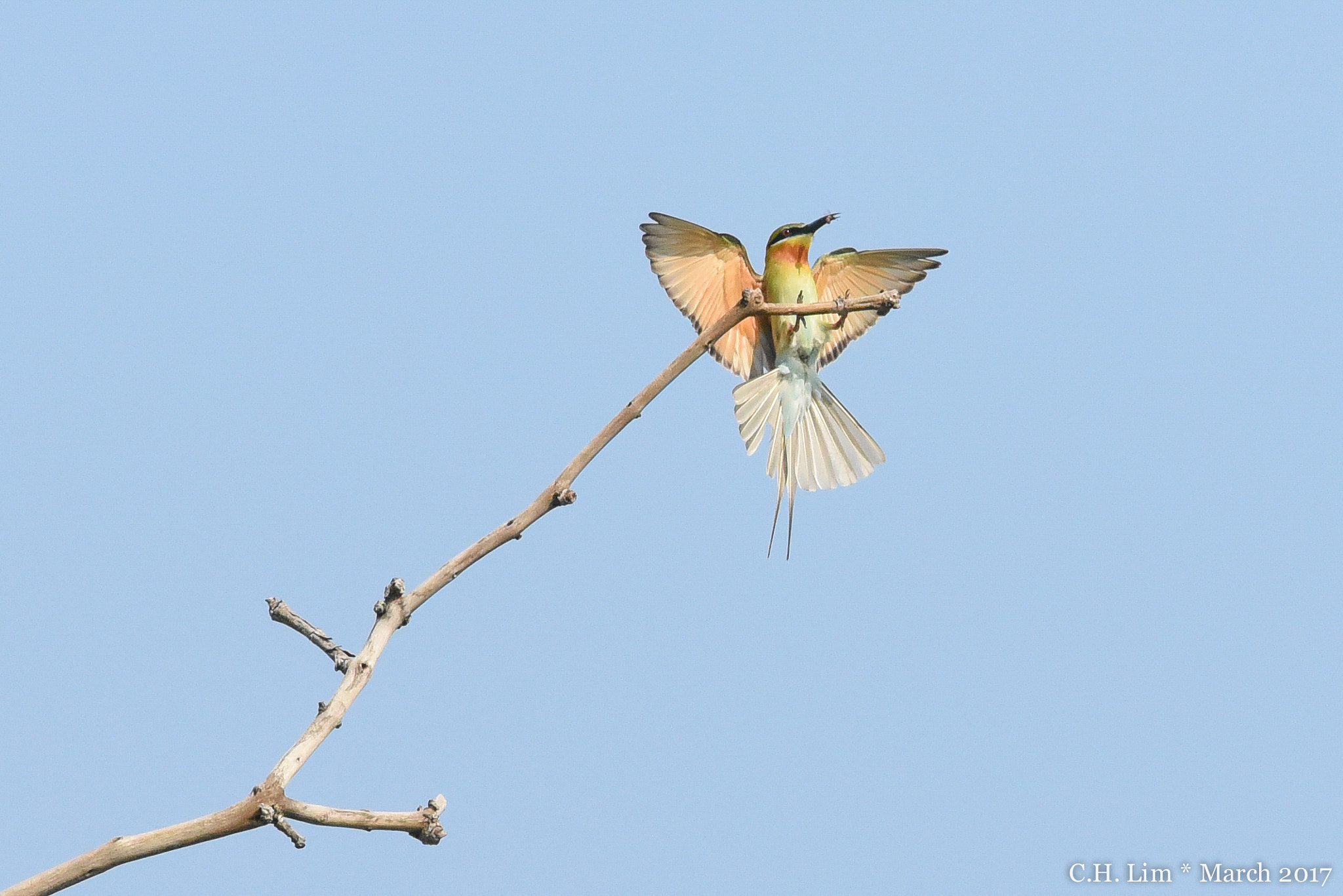 Nikon Nikkor AF-S 300mm F4E PF ED VR sample photo. Back from a successful sortie photography