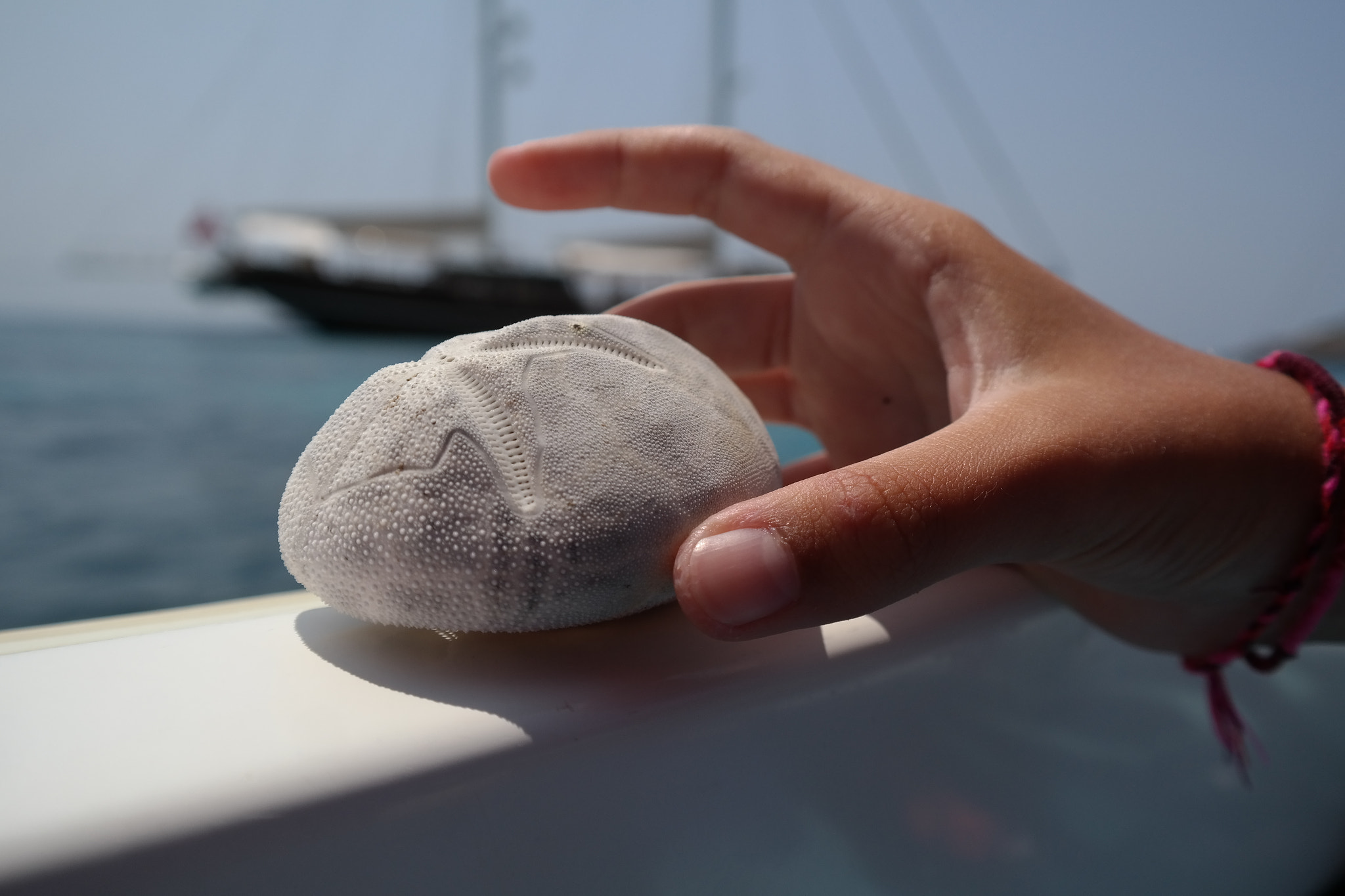 Samsung NX300M sample photo