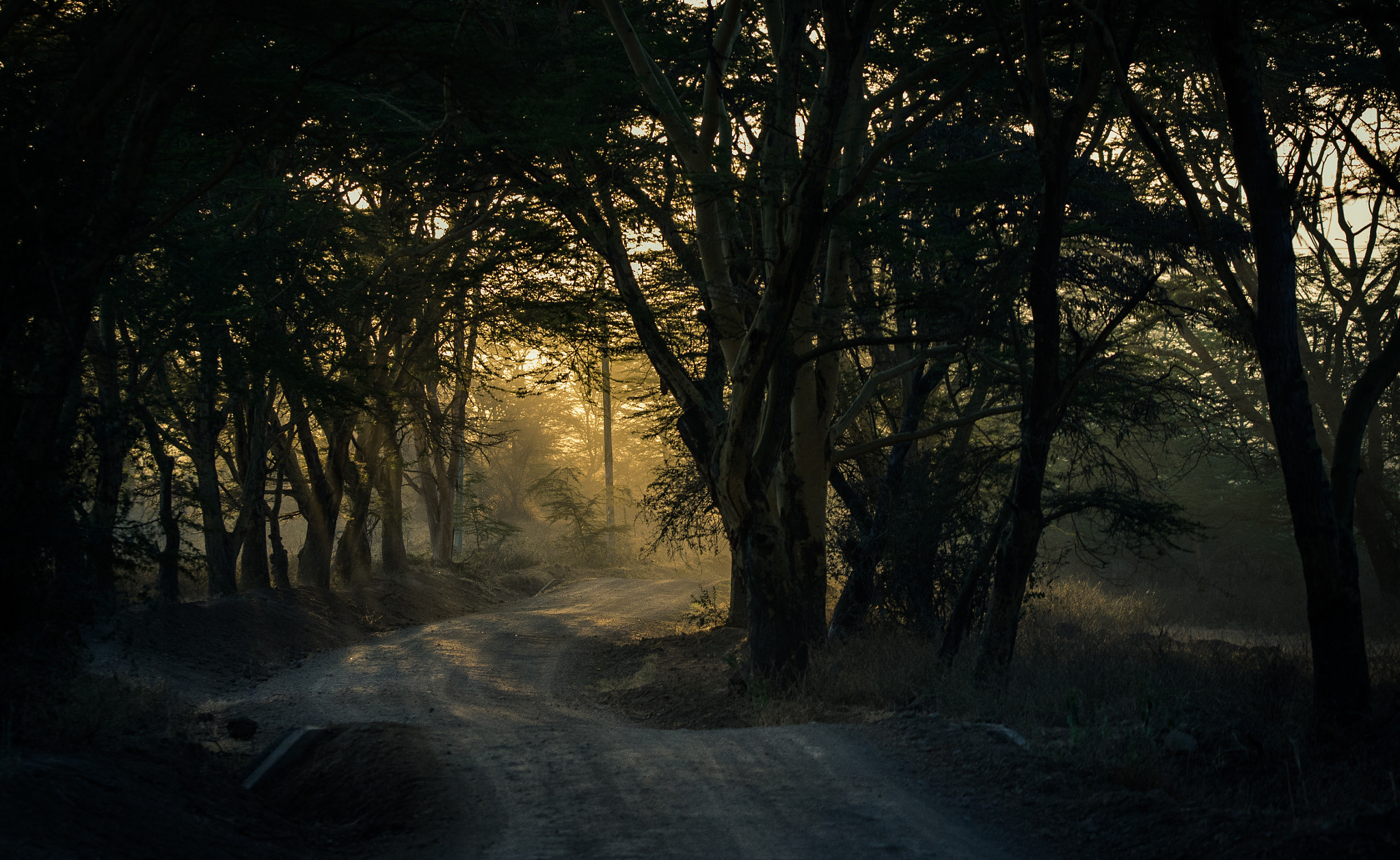 Nikon D600 sample photo. Adventures ahead photography