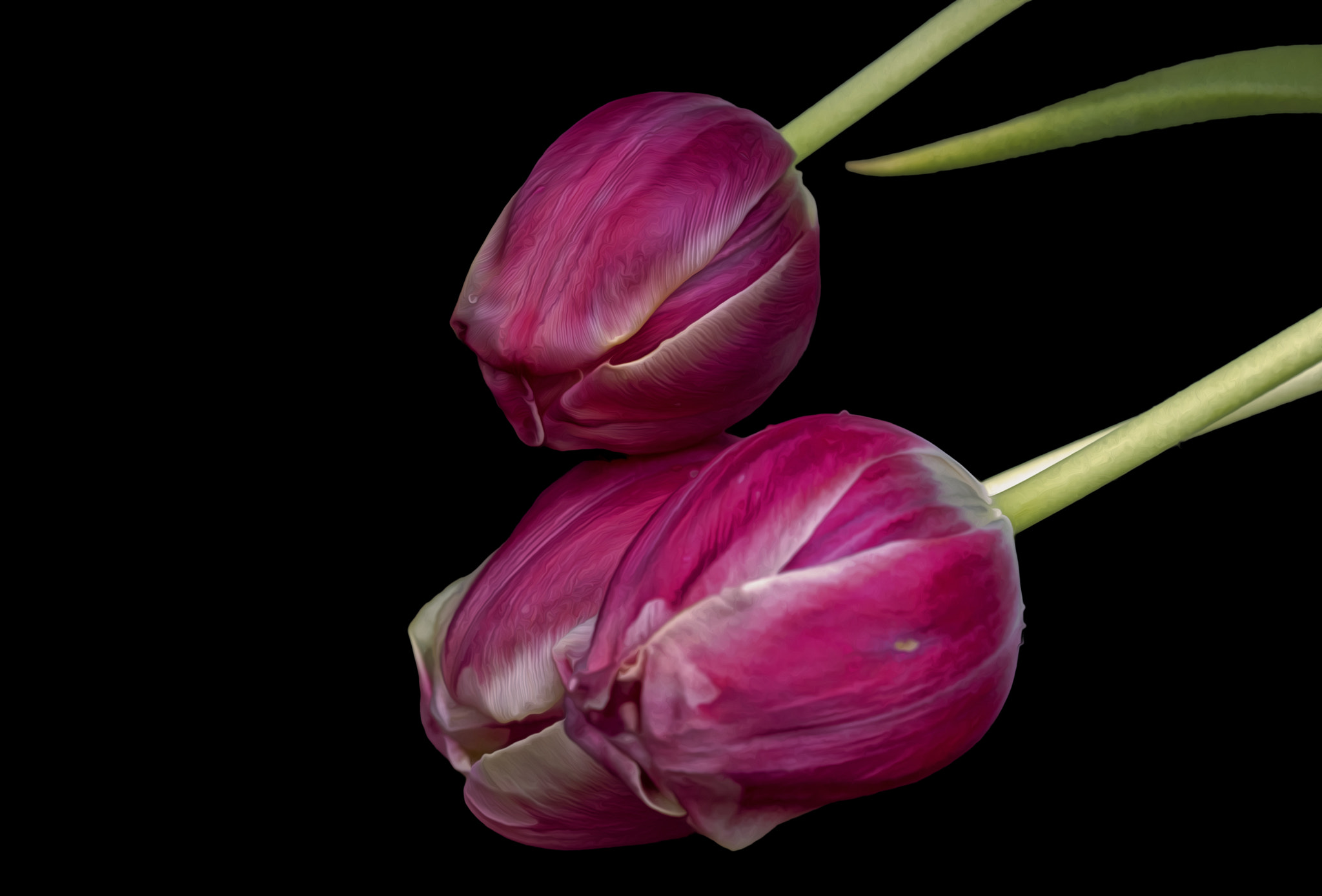 Sigma 150mm f/2.8 EX DG OS HSM APO Macro sample photo. Spring time photography