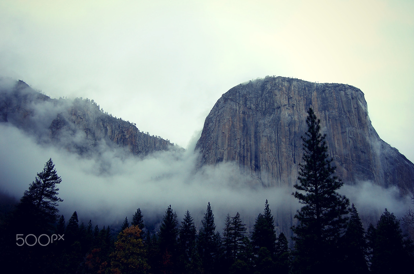 Nikon D50 sample photo. Yosemite photography