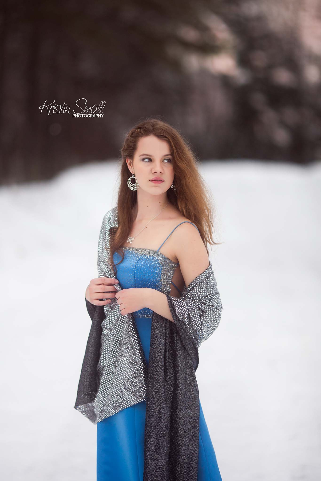 Canon EF 135mm F2L USM sample photo. Snow beauty photography