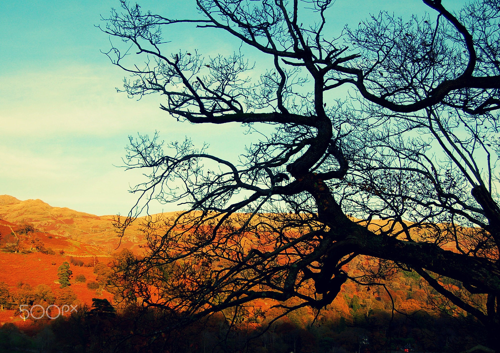 Nikon D50 sample photo. Lake district - uk photography