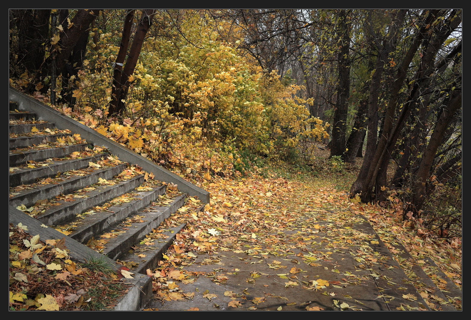 Canon EOS 450D (EOS Rebel XSi / EOS Kiss X2) sample photo. Stairway to... photography