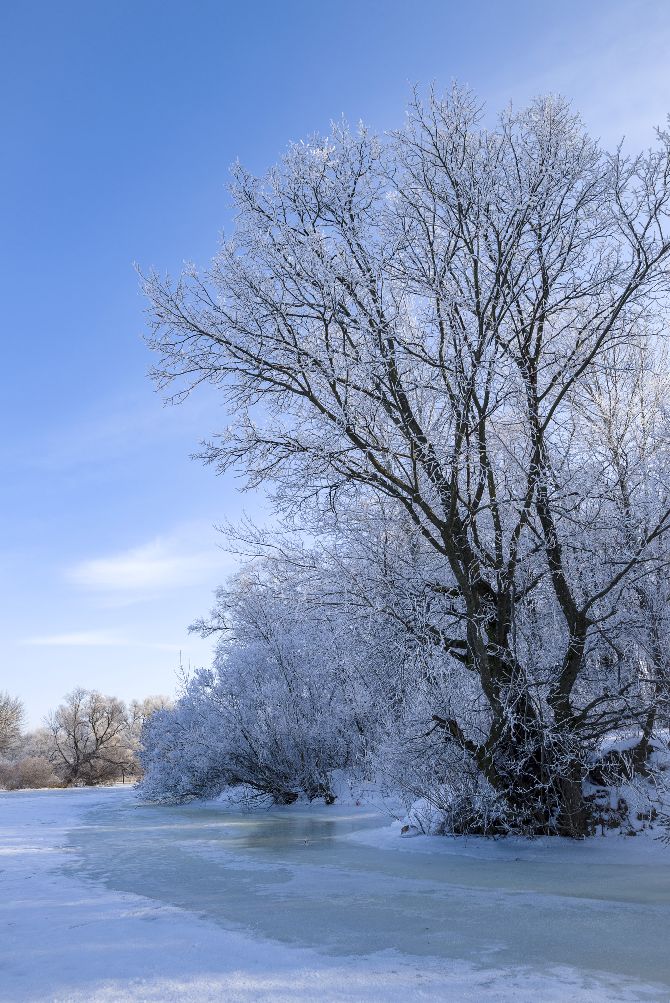 HD Pentax D FA 24-70mm F2.8 ED SDM WR sample photo. Winter nature photography