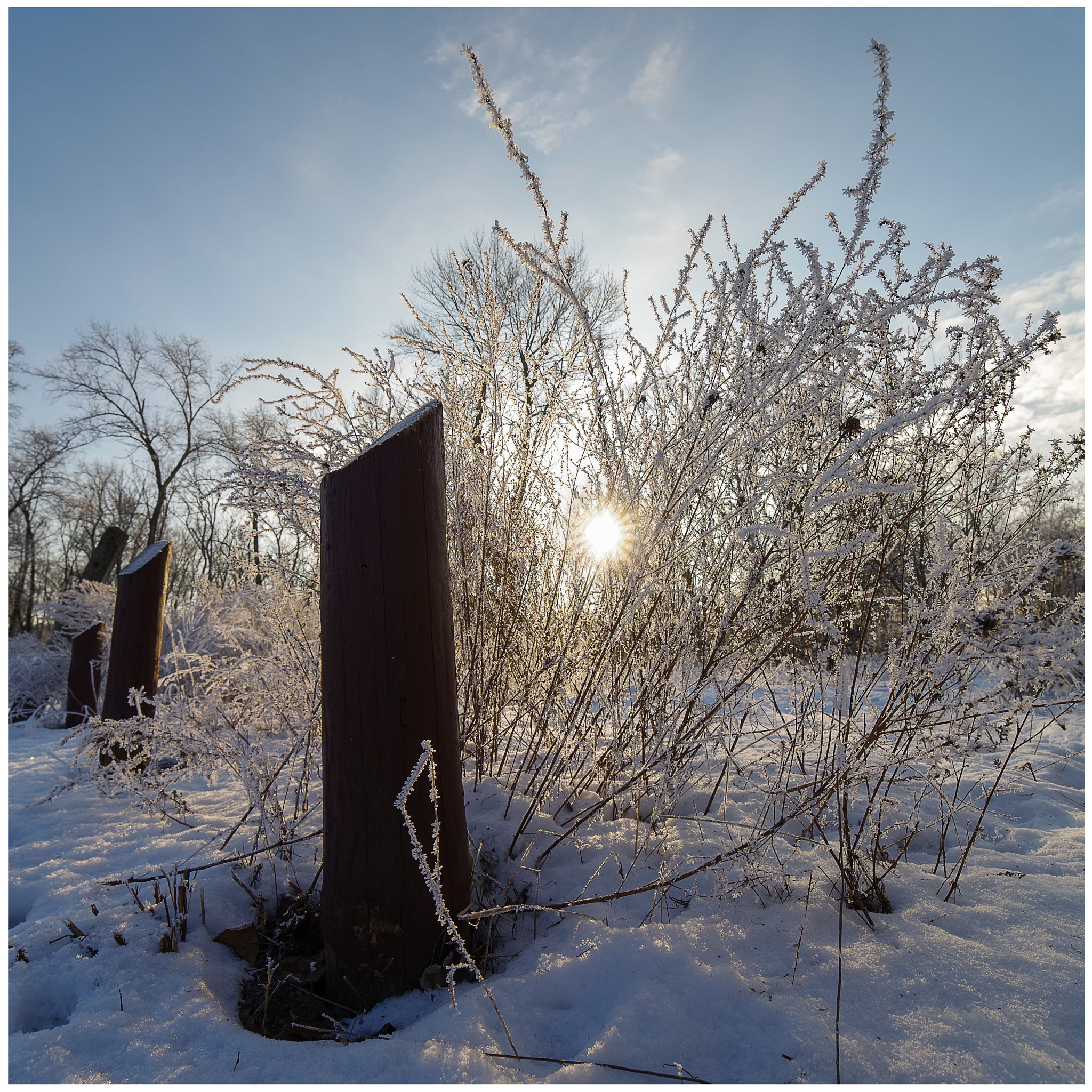 Pentax K-1 + A Series Lens sample photo. Winter nature photography