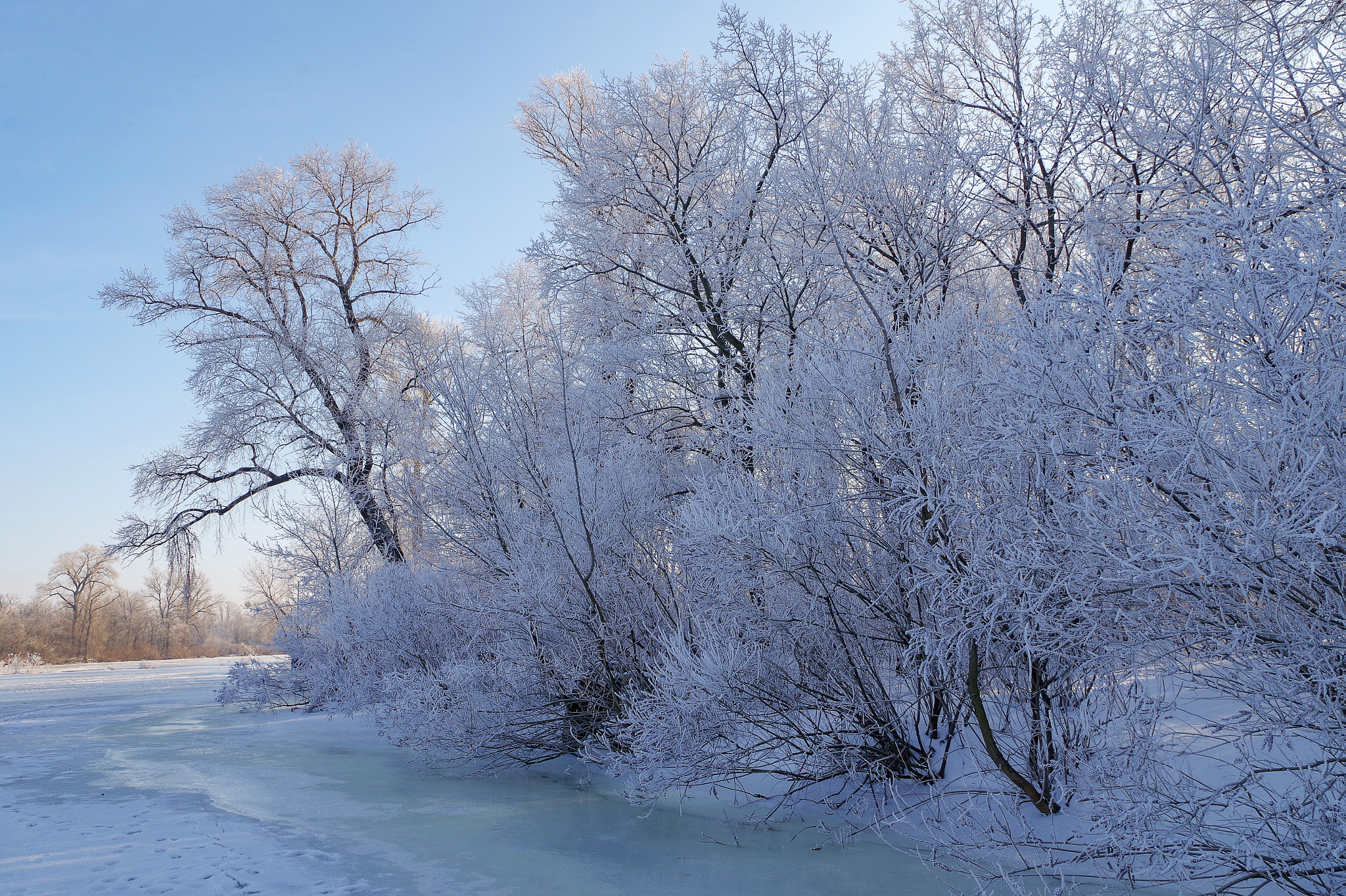 Pentax K-1 sample photo. Winter nature photography