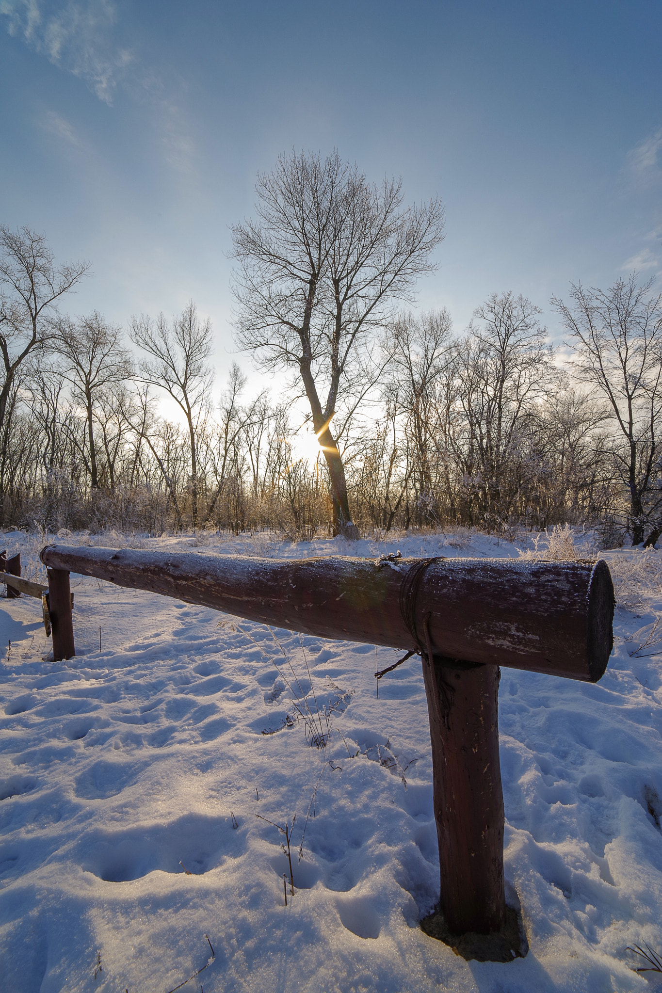 Pentax K-1 sample photo. Winter nature photography