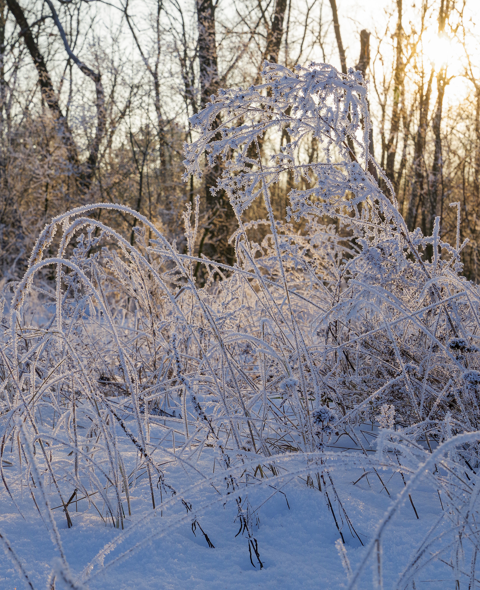 Pentax K-1 sample photo. Winter photography