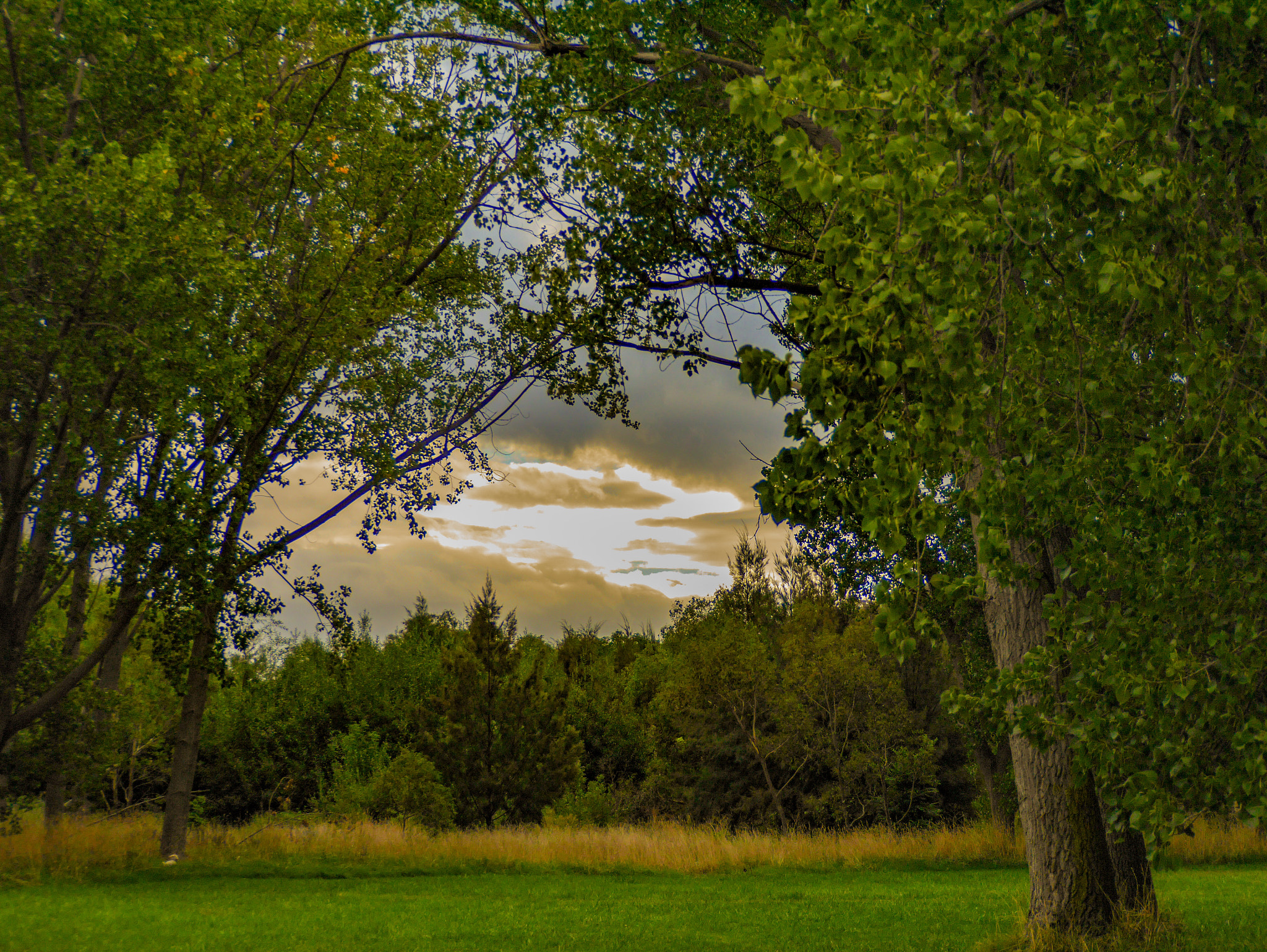 Panasonic DMC-GM1S sample photo. Layered view - molonglo reach, canberra, australia photography