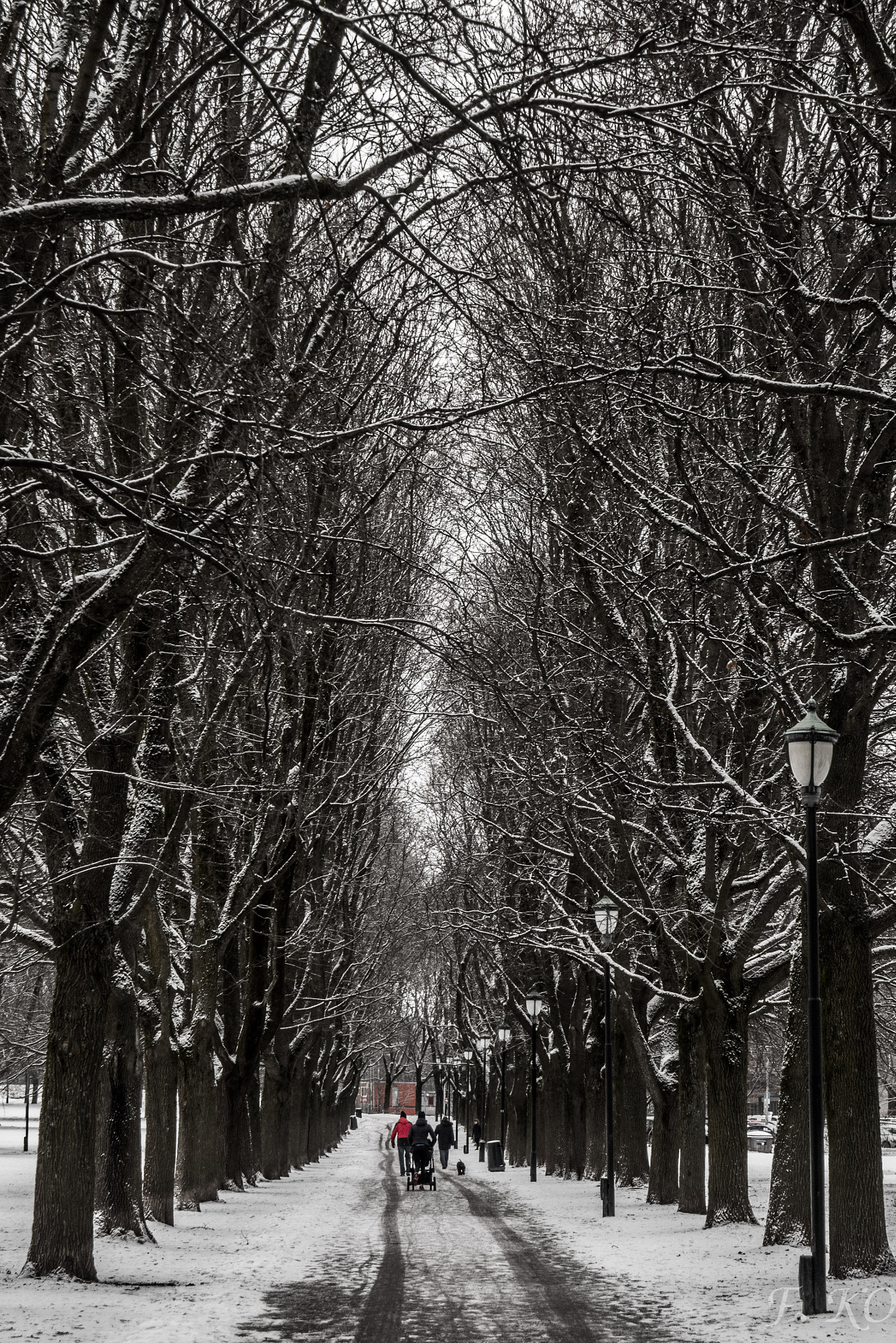 Olympus OM-D E-M5 II sample photo. Winter sonata photography