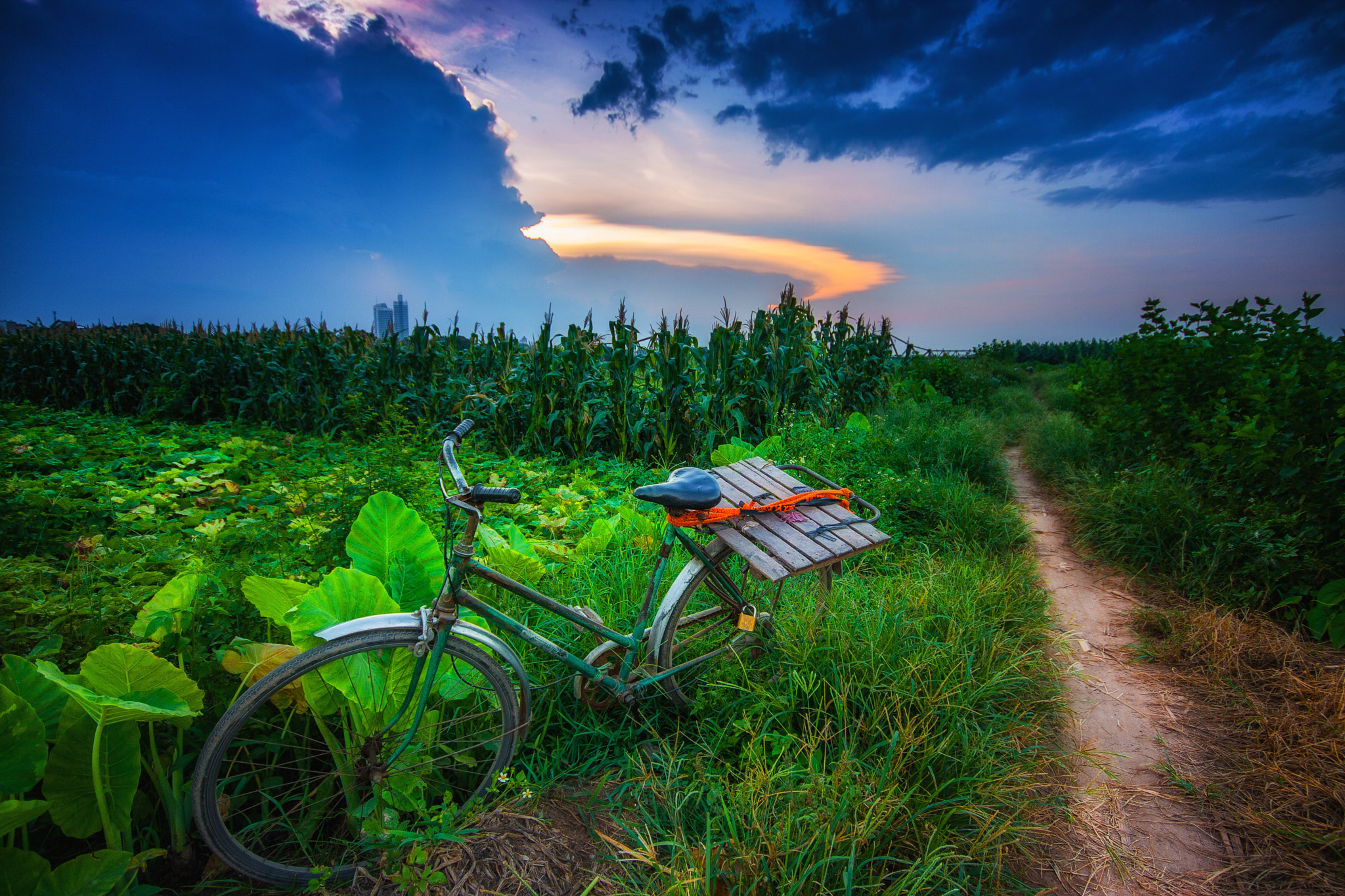 Canon EOS 40D + Sigma 10-20mm F4-5.6 EX DC HSM sample photo. Bike - thong nhat photography