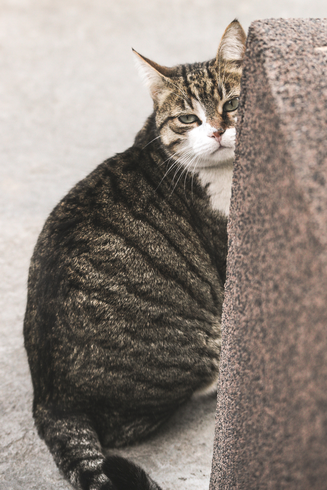 Canon EF 100-300mm F4.5-5.6 USM sample photo. Leave me alone human photography