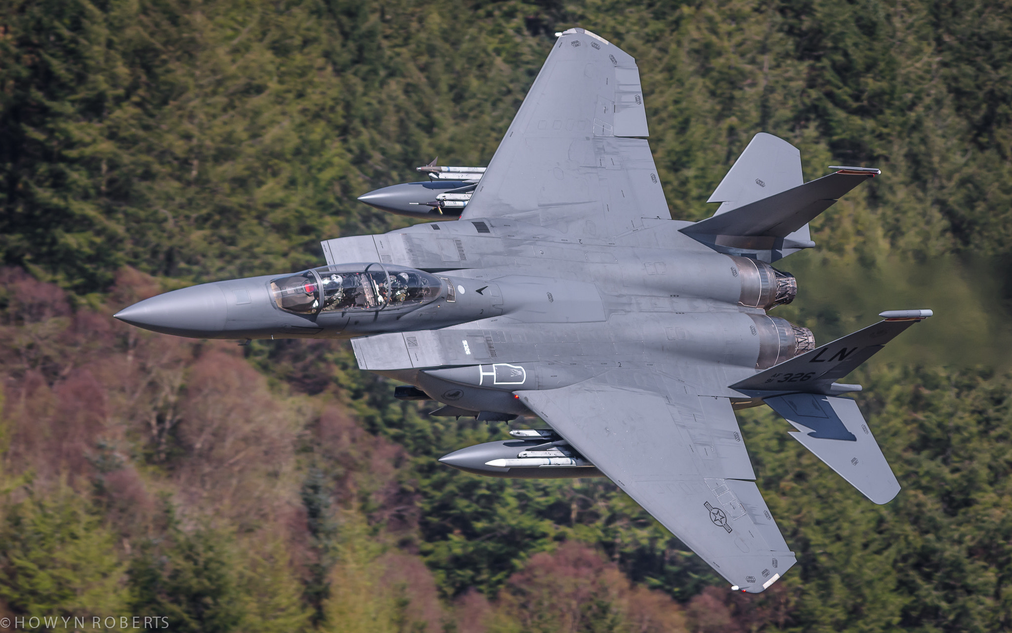 Nikon AF-S Nikkor 300mm F2.8G ED VR II sample photo. Dsc photography