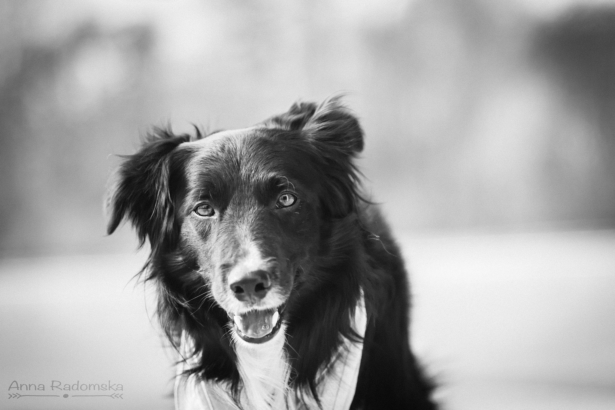 Canon EOS 7D + Canon EF 85mm F1.8 USM sample photo. Best smile of a day.. photography
