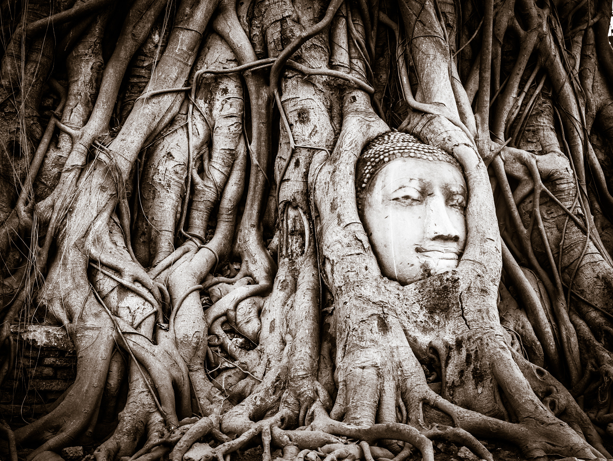 Panasonic Lumix G X Vario 12-35mm F2.8 ASPH Power OIS sample photo. Ayuttaya the lost buddhist kingdom thailand photography