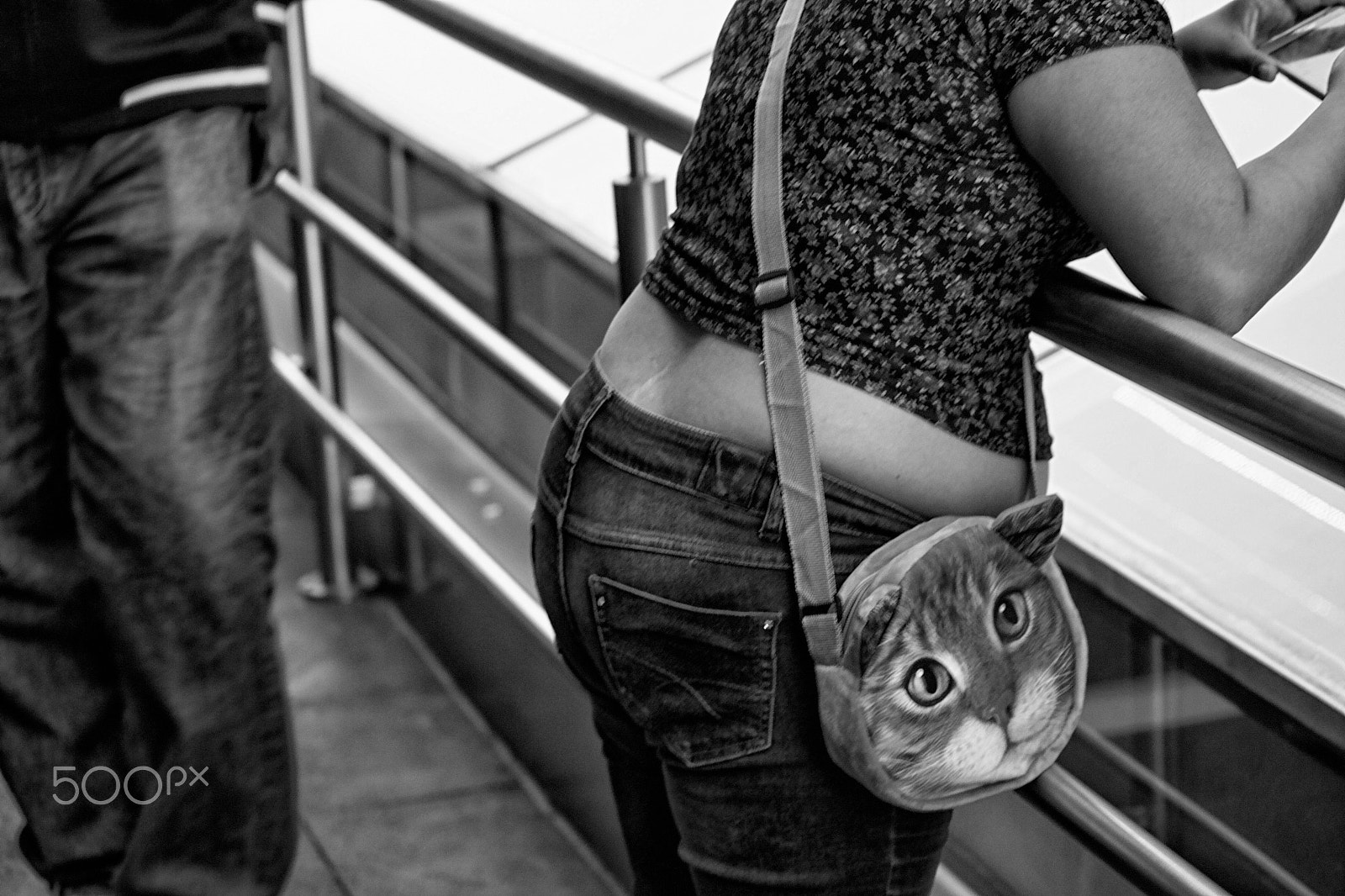 Canon EF-S 55-250mm F4-5.6 IS sample photo. Cat photography