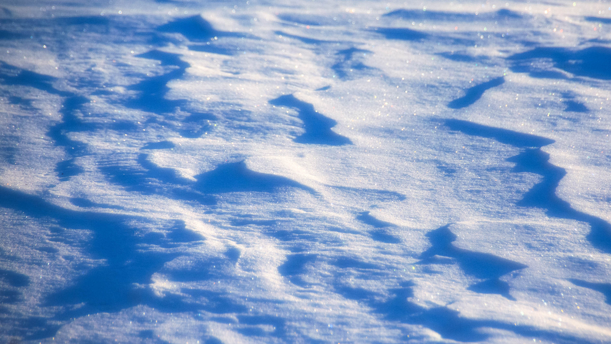 Sigma 18-250mm F3.5-6.3 DC Macro OS HSM sample photo. Morning light on windswept snow photography