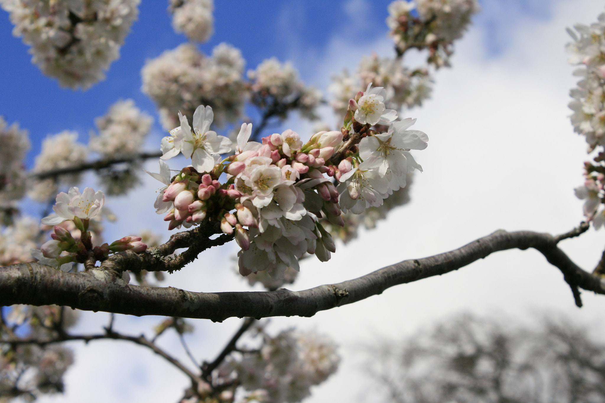 Canon EF-S 18-55mm F3.5-5.6 IS sample photo