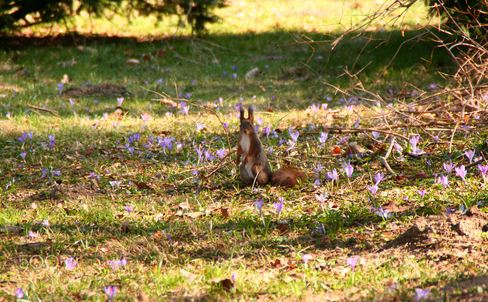 Canon EOS 400D (EOS Digital Rebel XTi / EOS Kiss Digital X) sample photo. I'm still standing photography