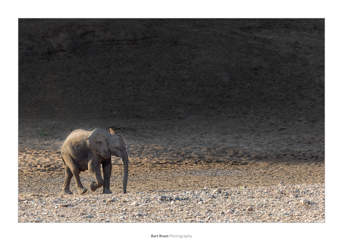Canon EF 300mm F2.8L IS USM sample photo. Elephant in riverbed photography