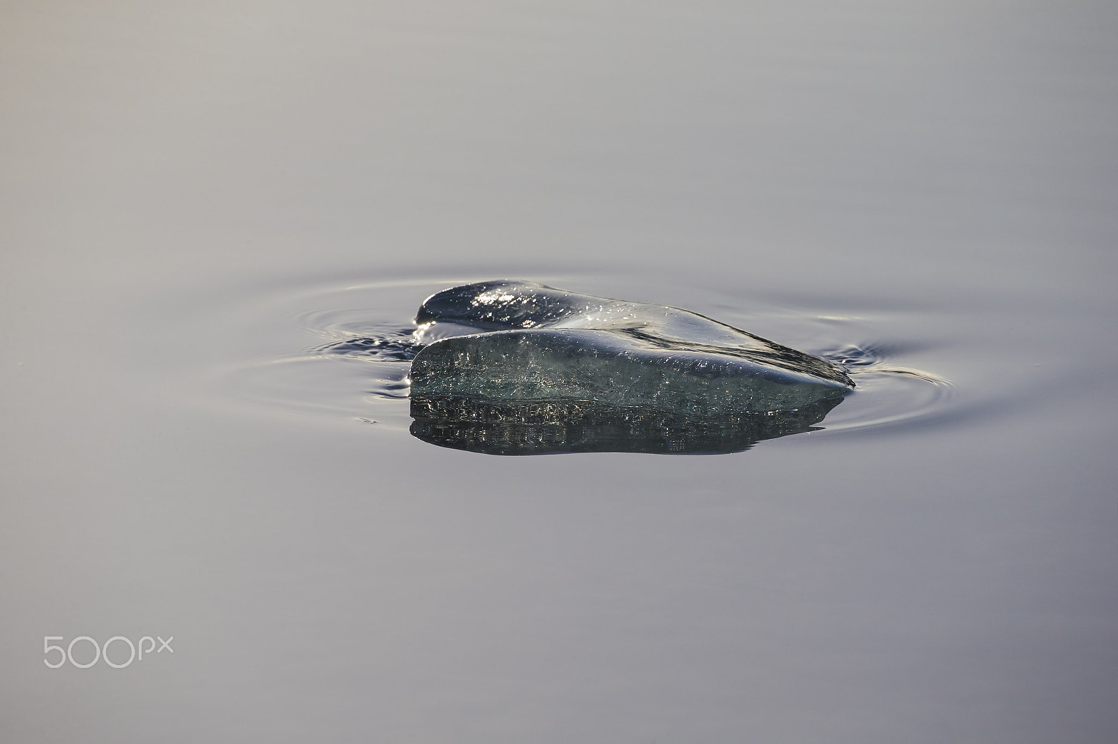 Canon EOS-1D X sample photo. Silver fragment photography