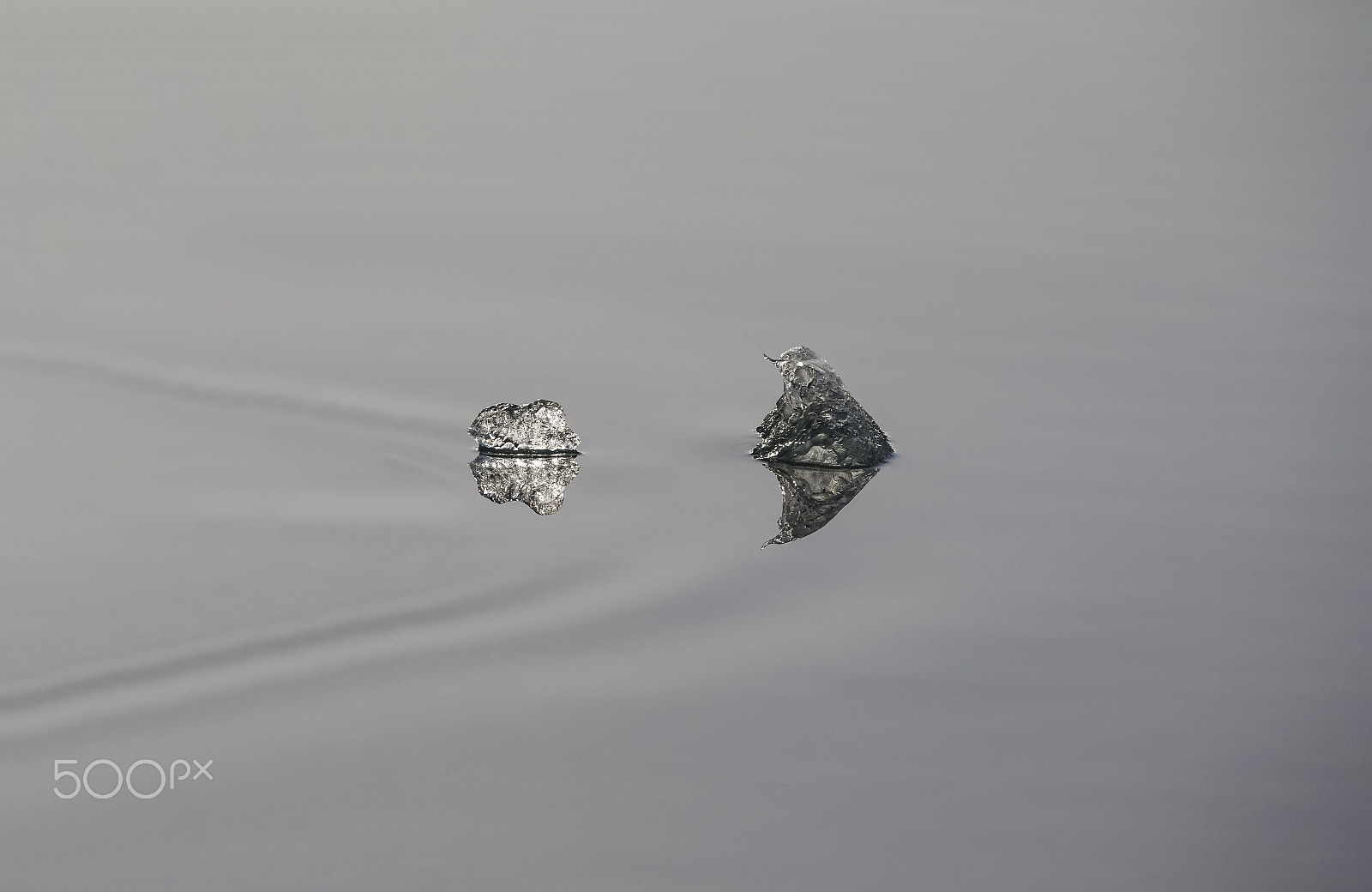 Canon EOS-1D X sample photo. Sliver ice shark photography