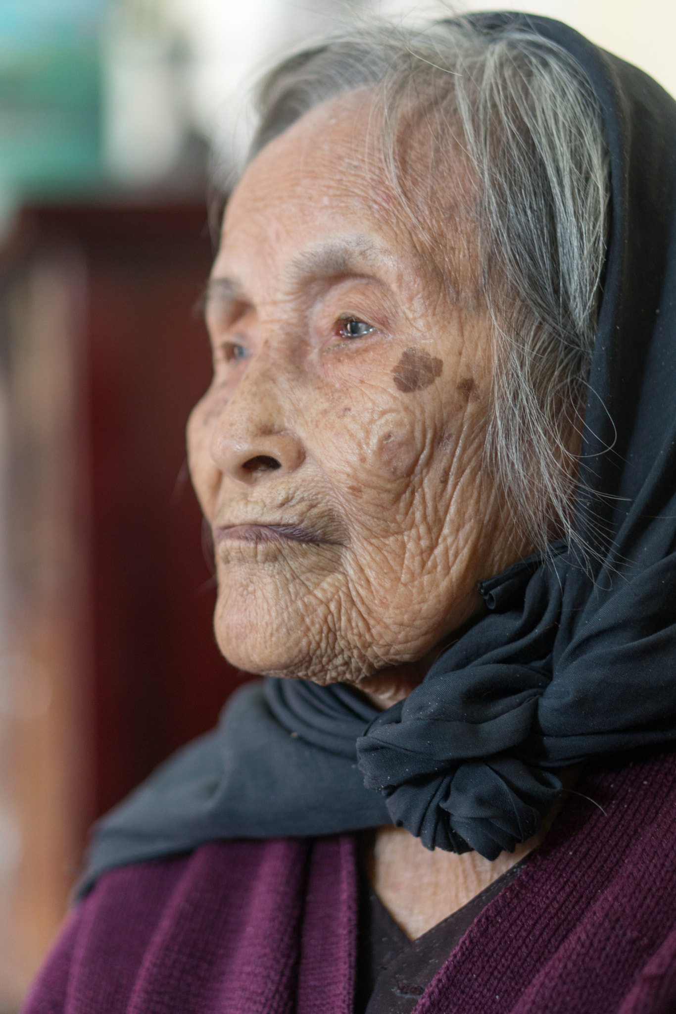 Sony a6300 + E 50mm F1.8 OSS sample photo. Wisdom photography
