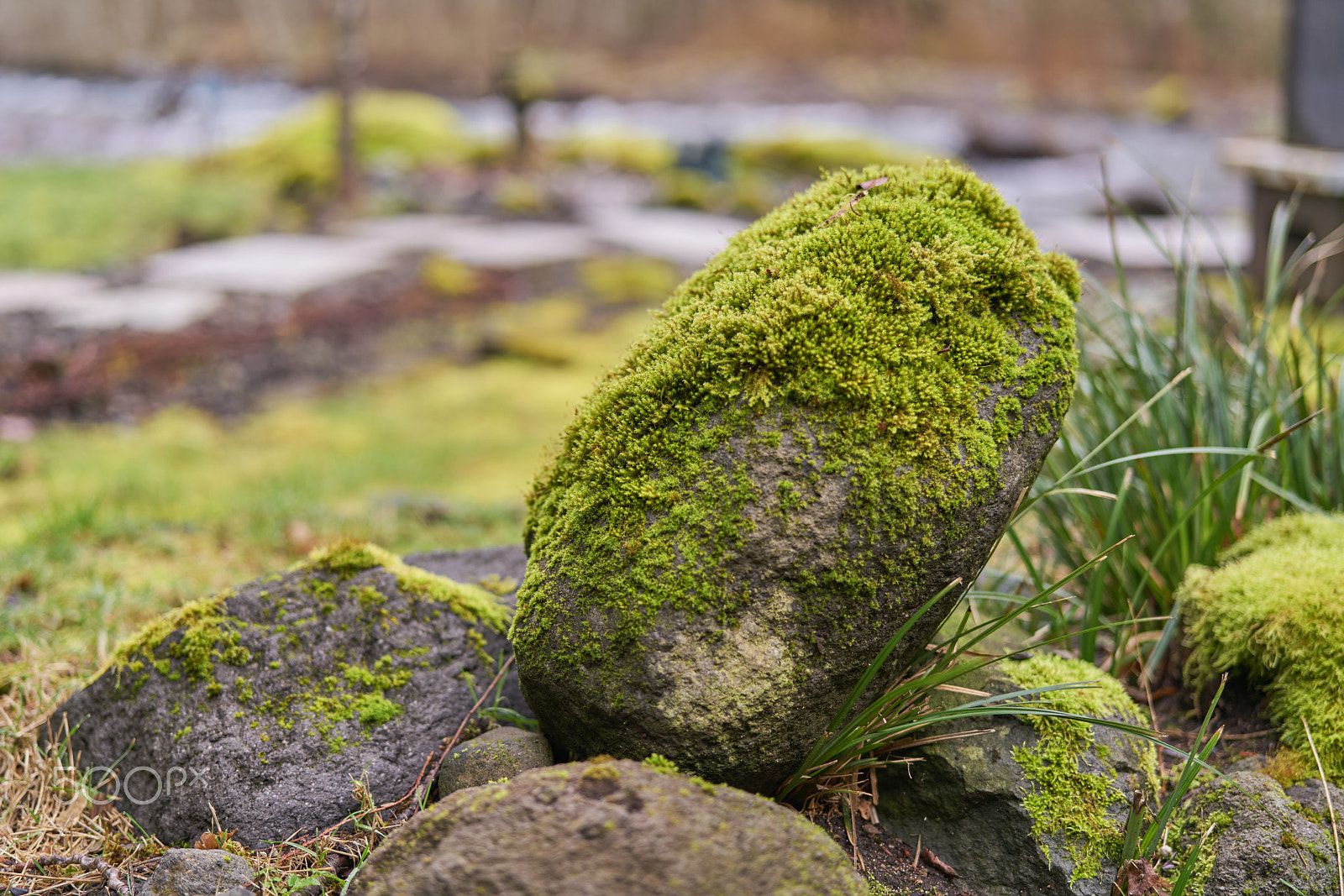 Sony Planar T* FE 50mm F1.4 ZA sample photo. Rolling stone photography